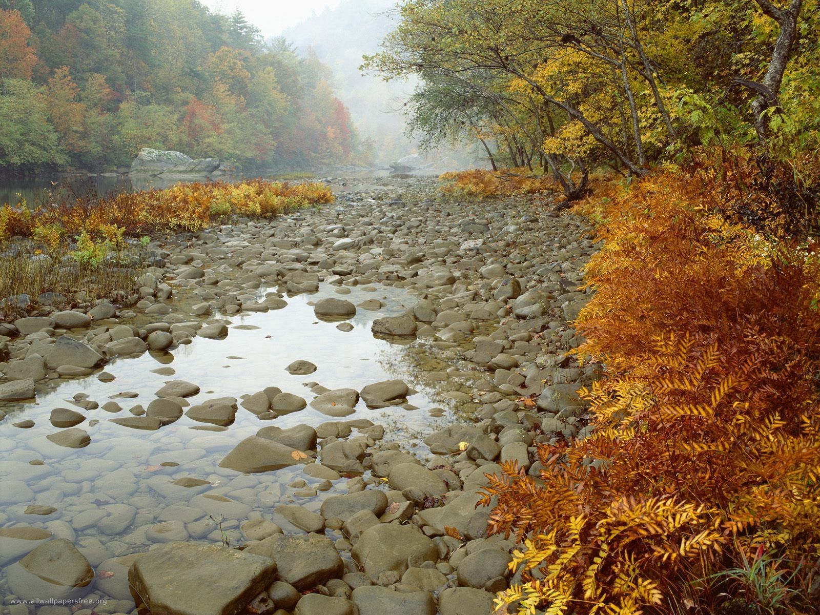 52917 завантажити шпалери осінь, природа, вода, річка, камені - заставки і картинки безкоштовно