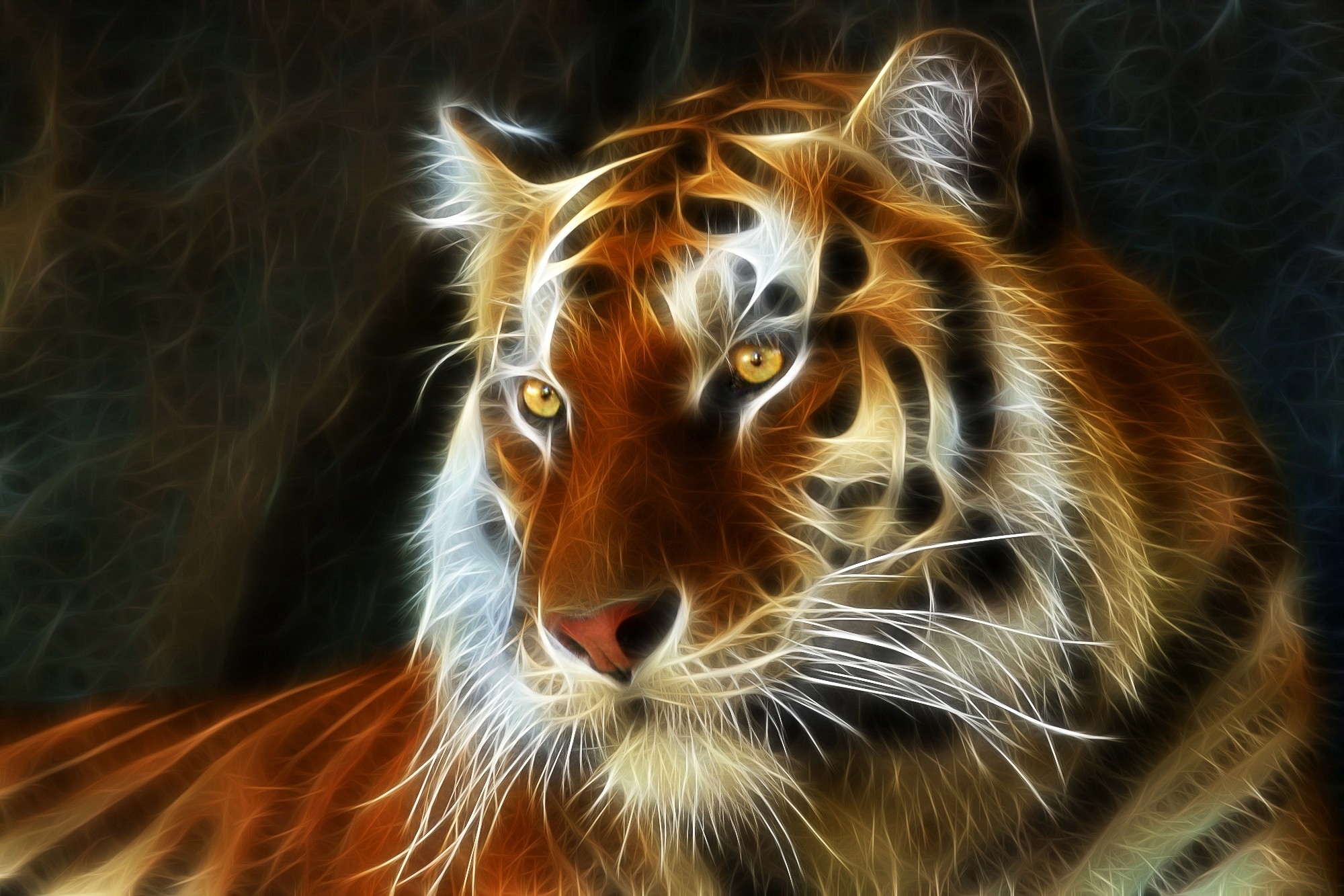 Красивые картины на телефон. Тигр 3. Красивый тигр. Огненный тигр. Тигр картина.