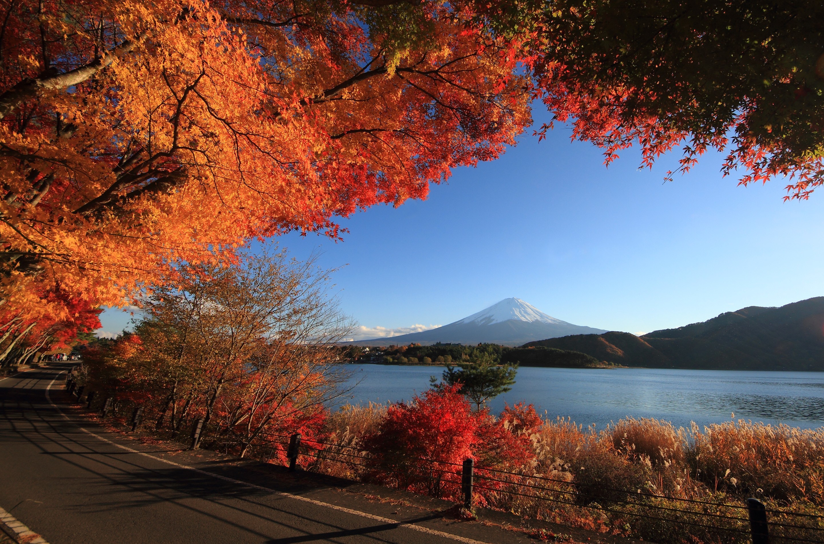 お使いの携帯電話の346534スクリーンセーバーと壁紙富士山。 の写真を無料でダウンロード