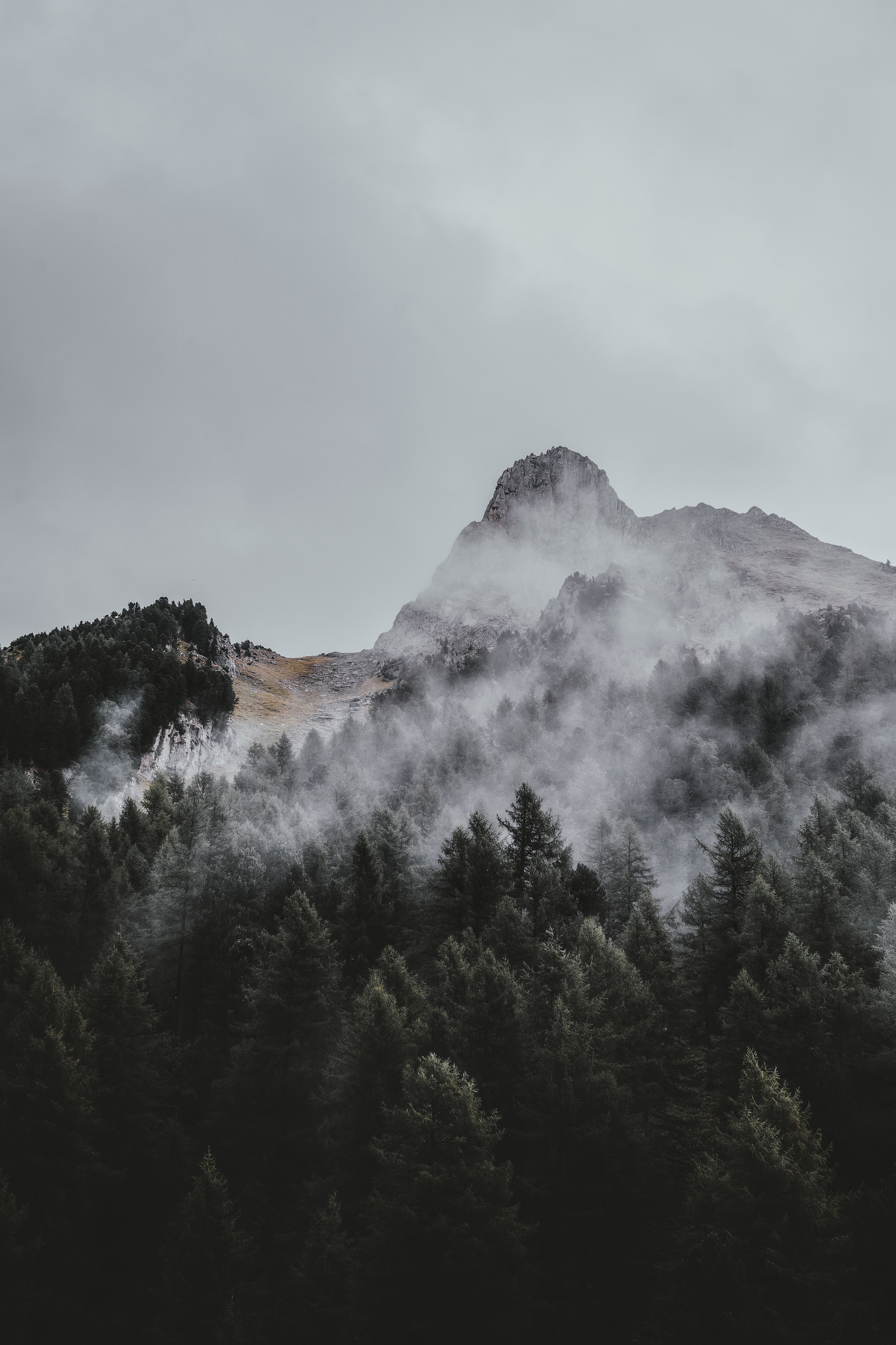 iPhone Wallpapers nature, vertex, trees, fog Mountain