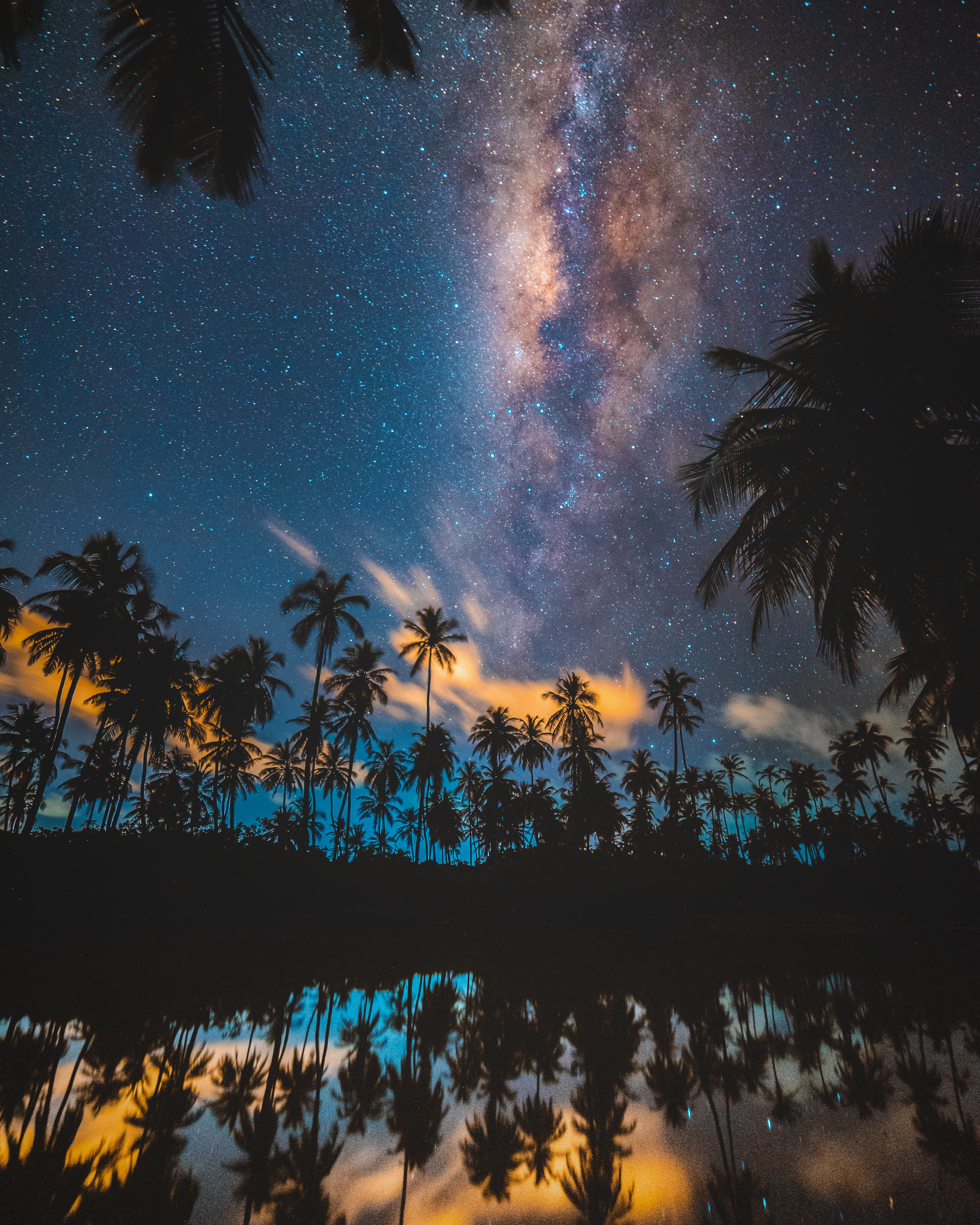 stars, nature, night, palms, starry sky, milky way phone background