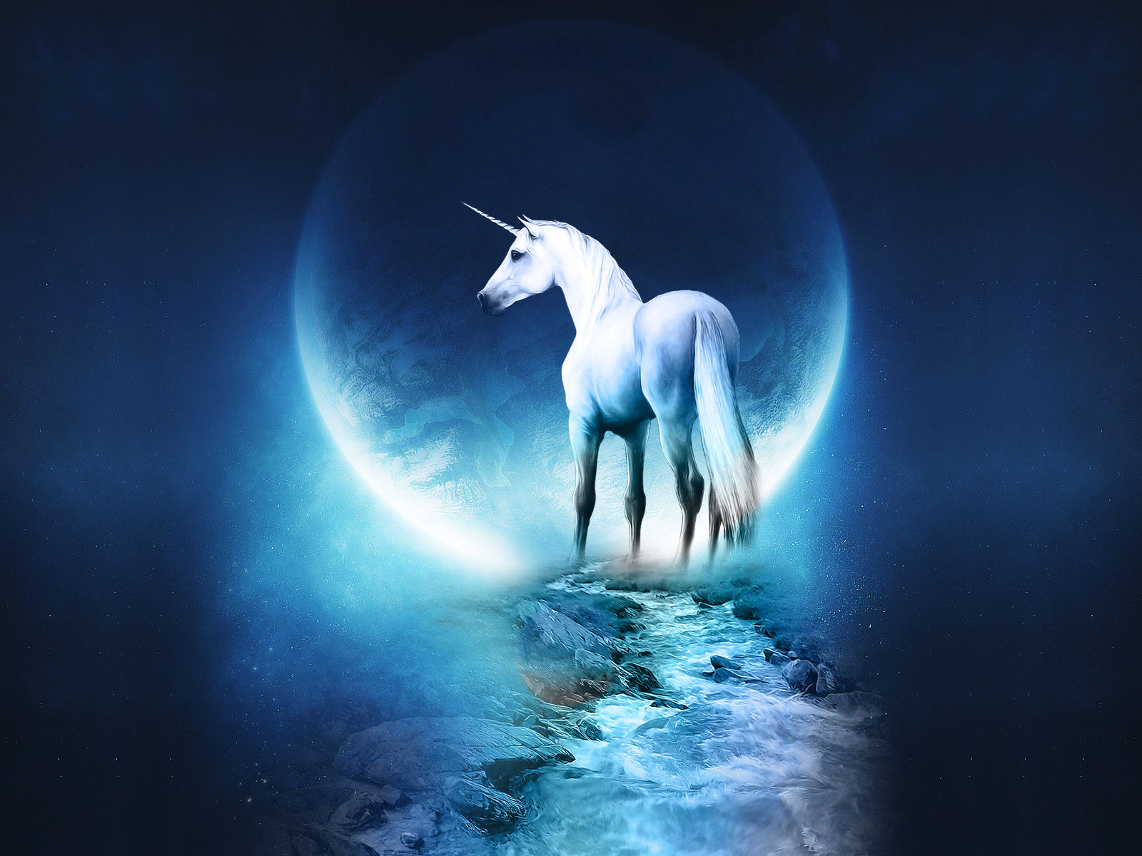 unicorn, fantasy, fantasy animals wallpapers for tablet