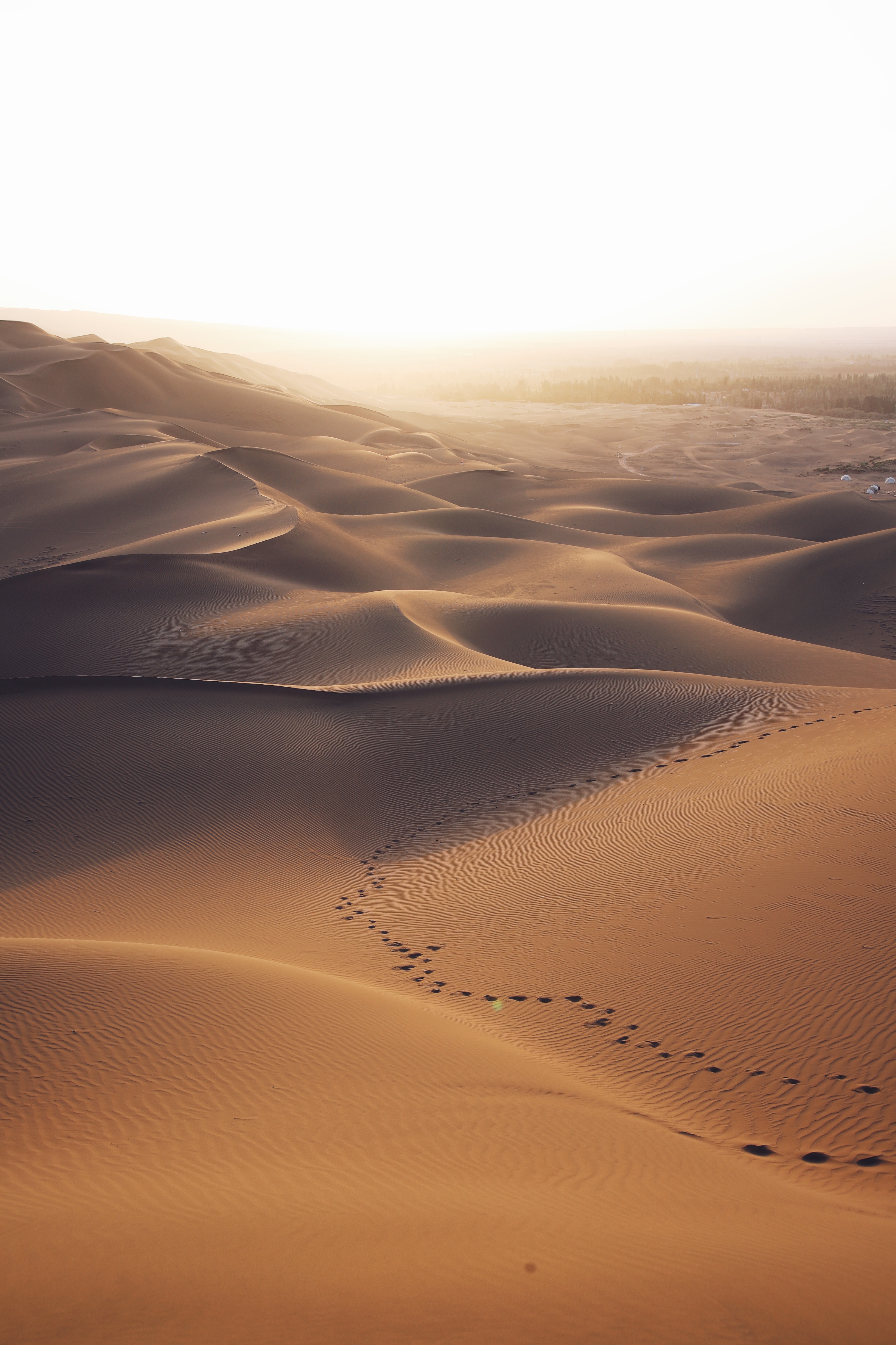 85205 скачать обои пустыня, пейзаж, природа, песок, следы, дюны - заставки и картинки бесплатно