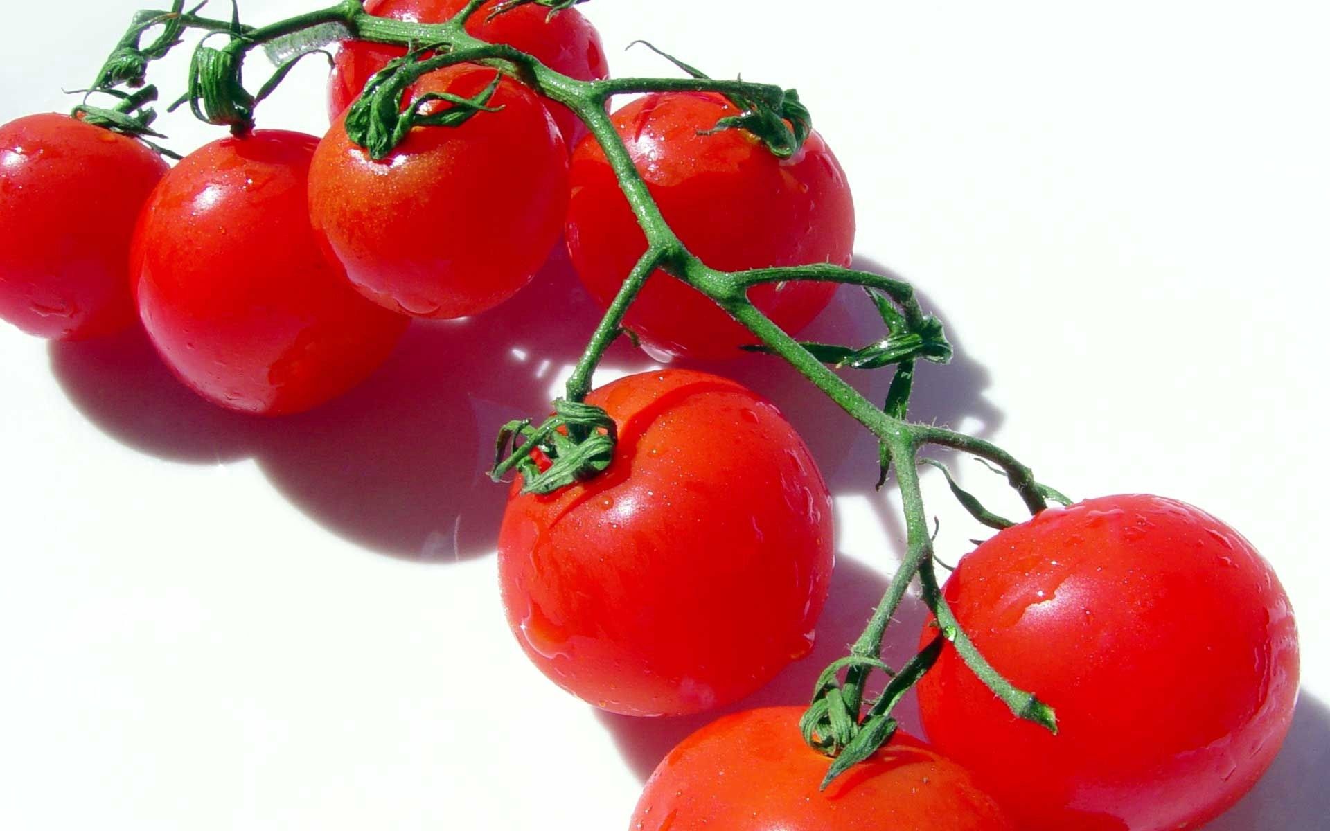 90361 Hintergrundbild herunterladen lebensmittel, gemüse, ast, zweig, tomaten, tomate, eine tomate - Bildschirmschoner und Bilder kostenlos