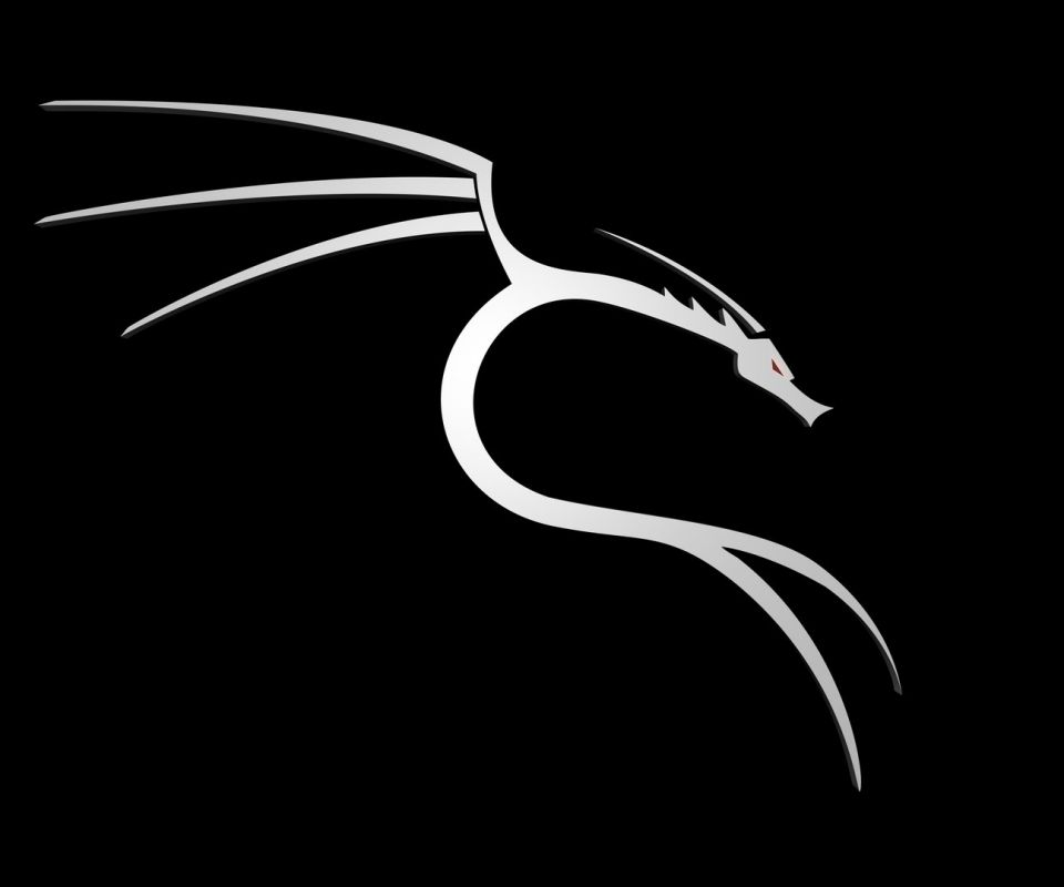 Kali Linux wallpapers for desktop, download free Kali Linux pictures and  backgrounds for PC 