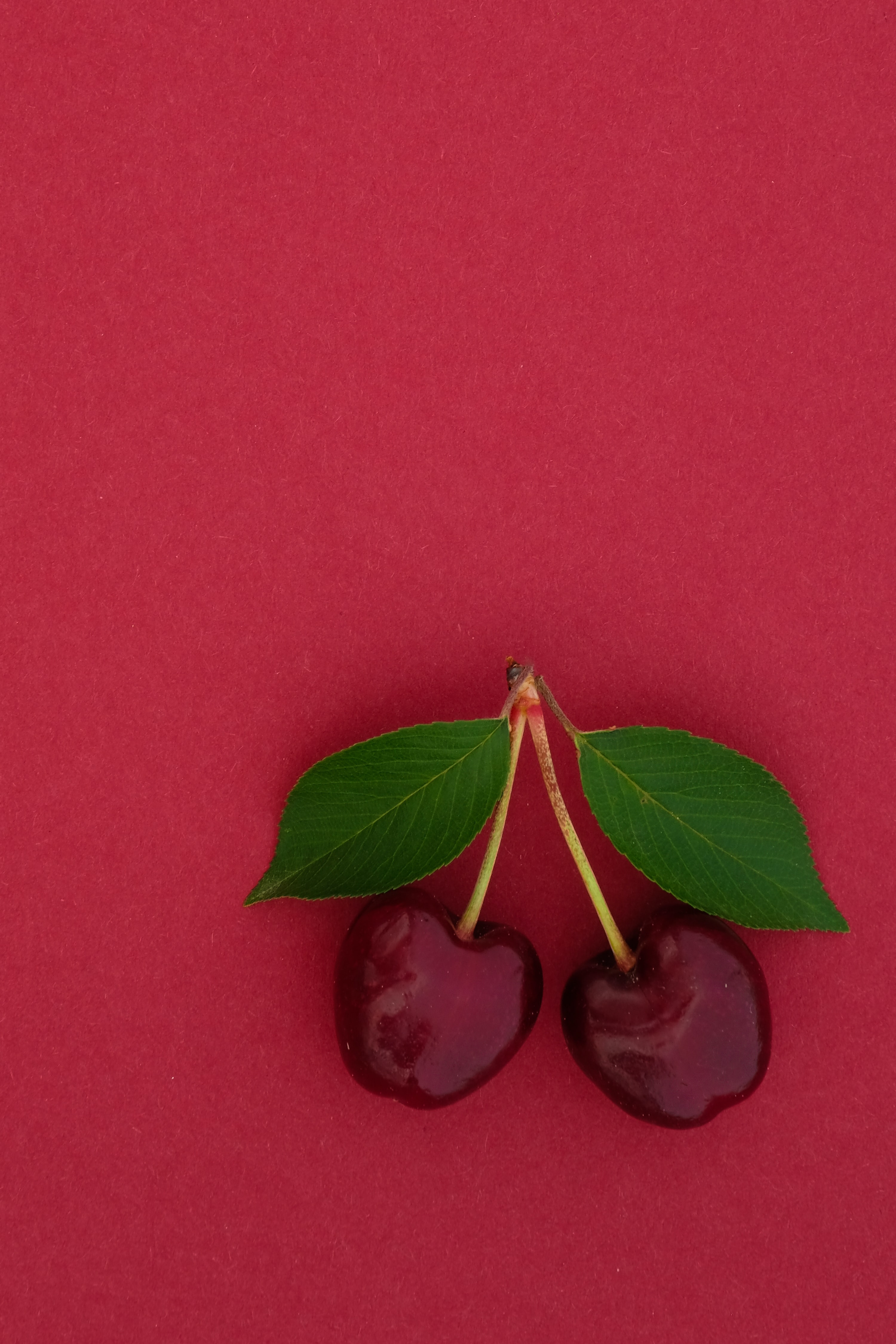 cherry, sweet cherry, food, leaves, berry iphone wallpaper