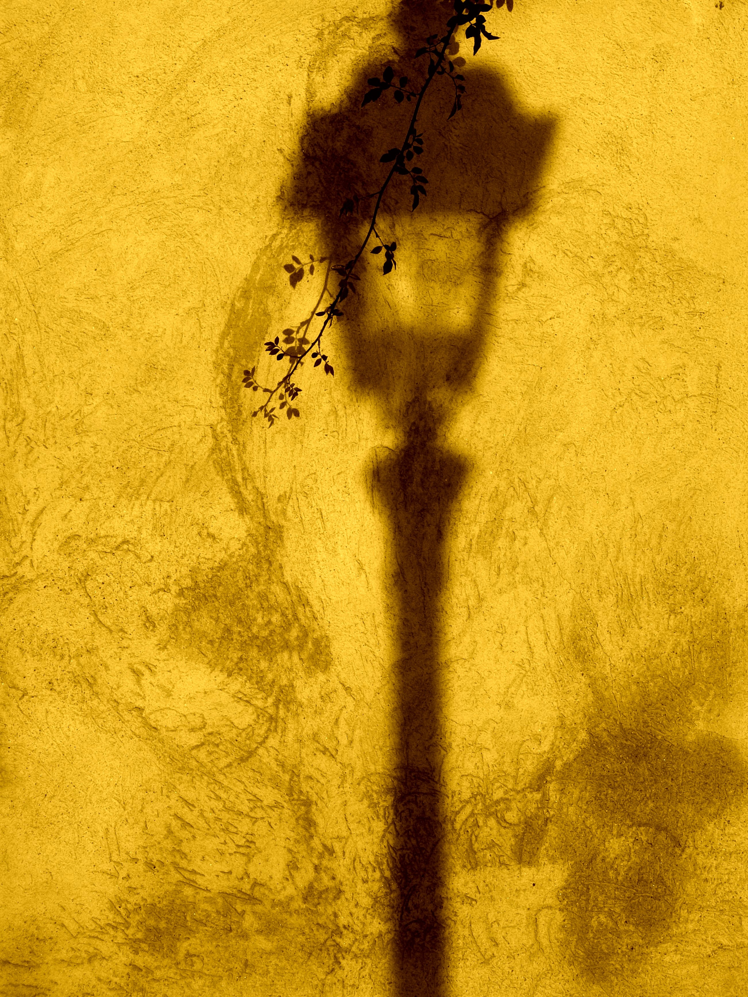 lantern, lamp, yellow, texture, textures, branch, shadow, wall iphone wallpaper