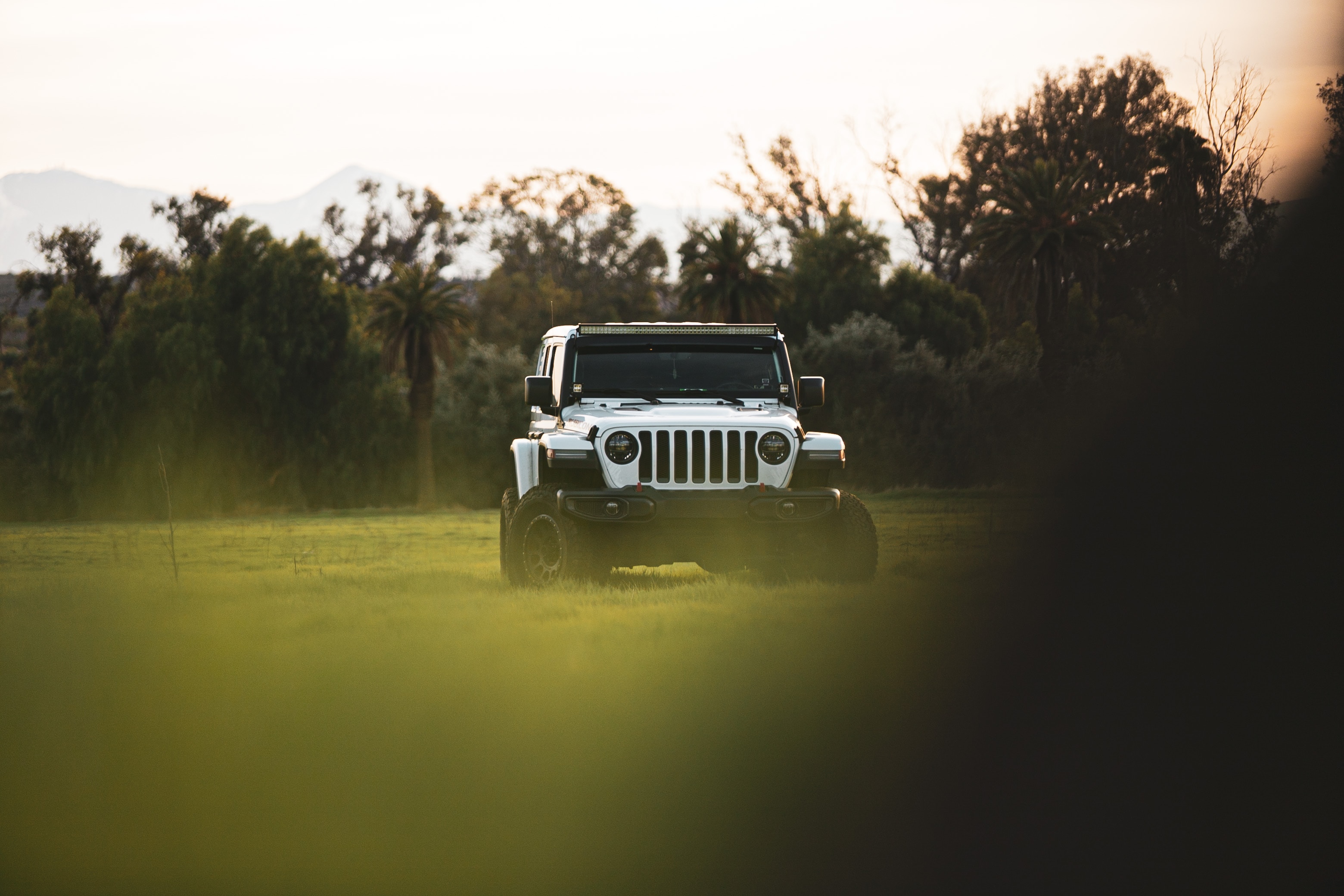 jeep, jeep wrangler, cars, suv, white, car, machine 1080p