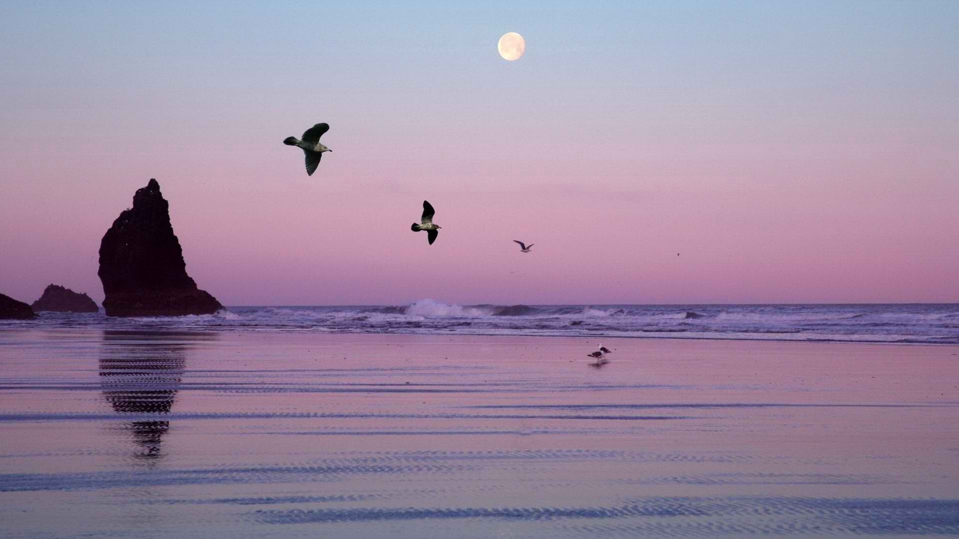 Laden Sie das Natur, Vögel, See, Oregon-Bild kostenlos auf Ihren PC-Desktop herunter