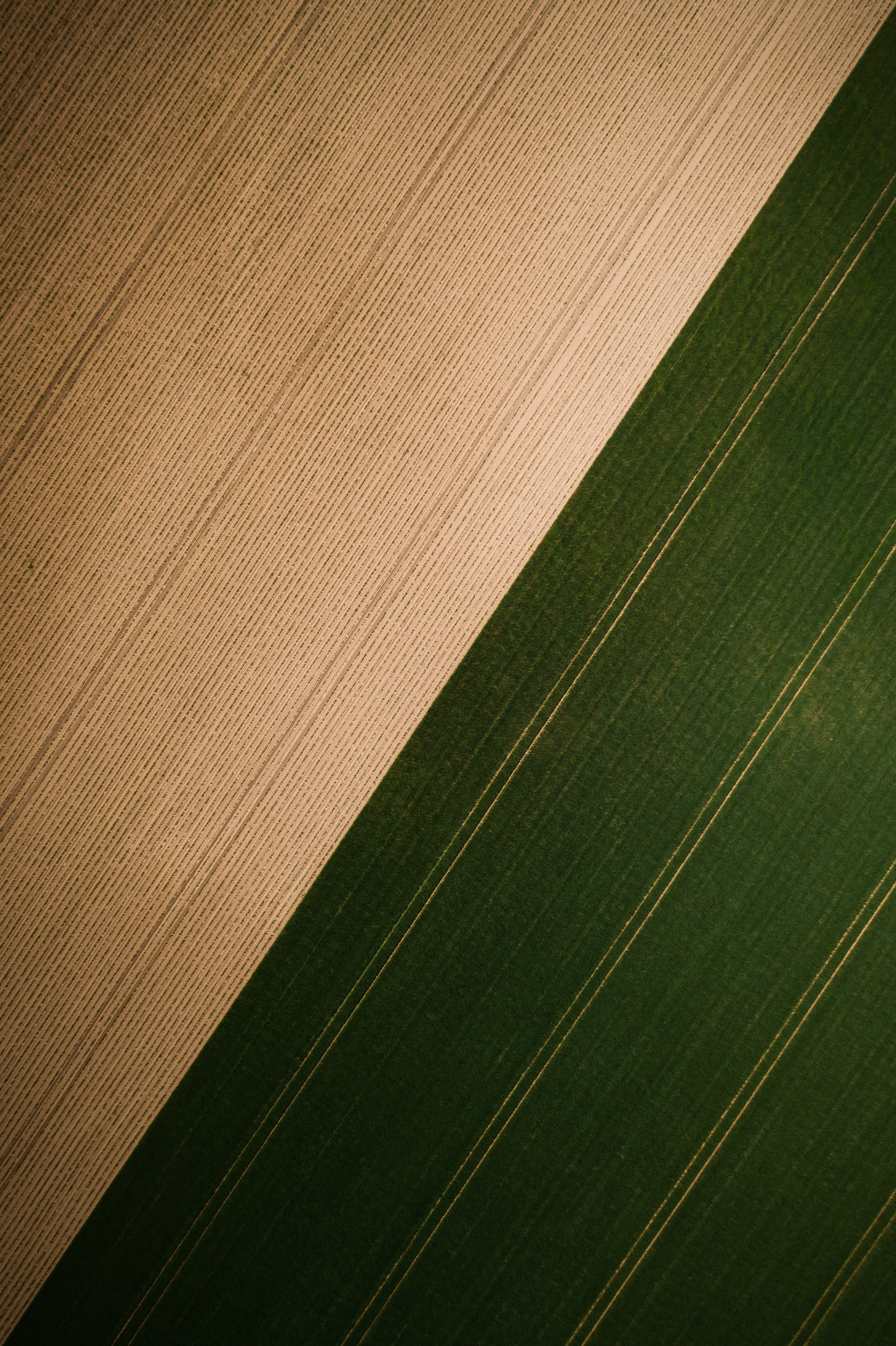 stripes, grass, view from above, texture, textures, field, streaks Free Stock Photo