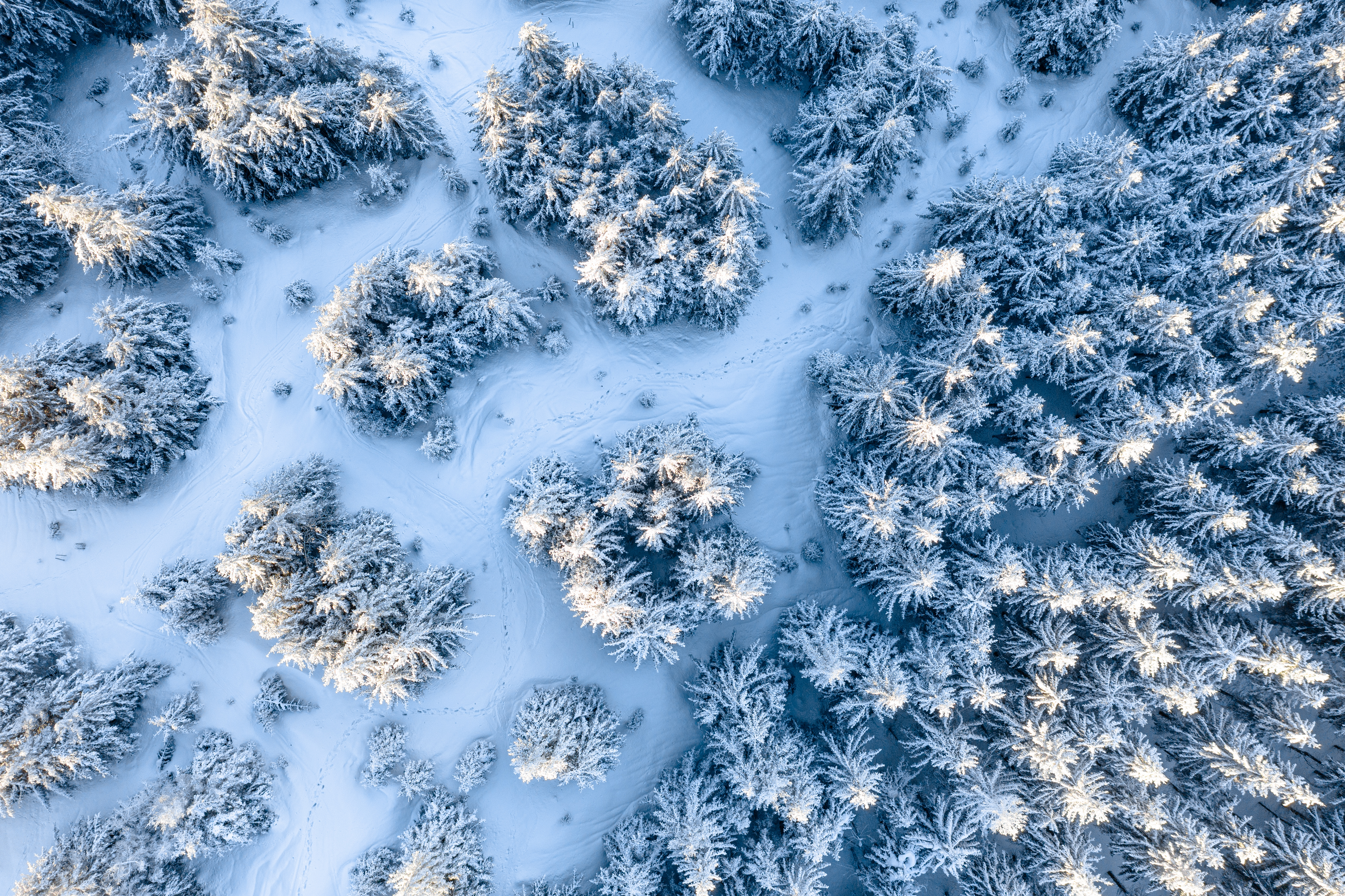 Handy-Wallpaper Schnee, Winter, Natur, Bäume, Blick Von Oben kostenlos herunterladen.