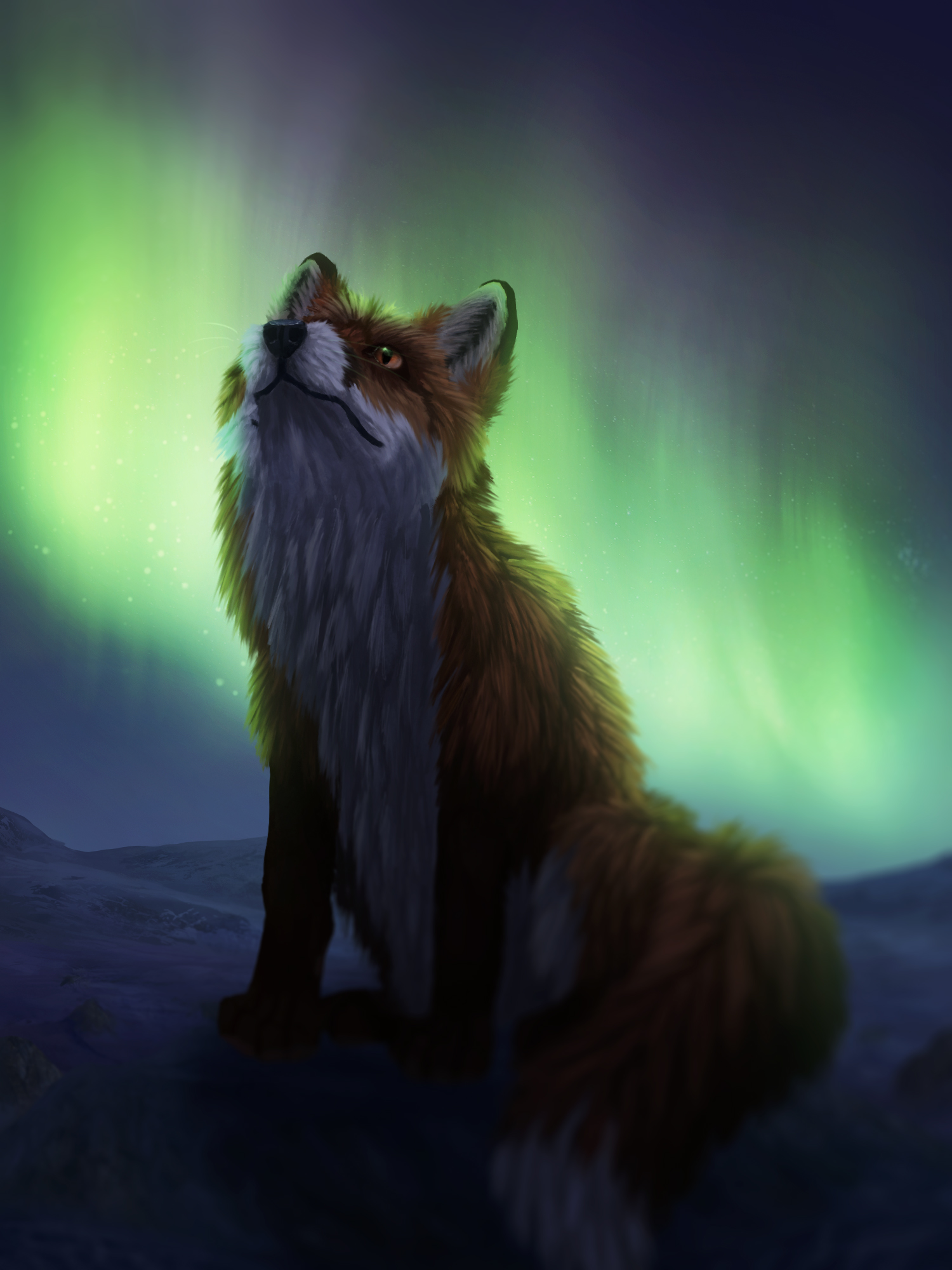 aurora borealis, northern lights, art, night, fox, dark UHD