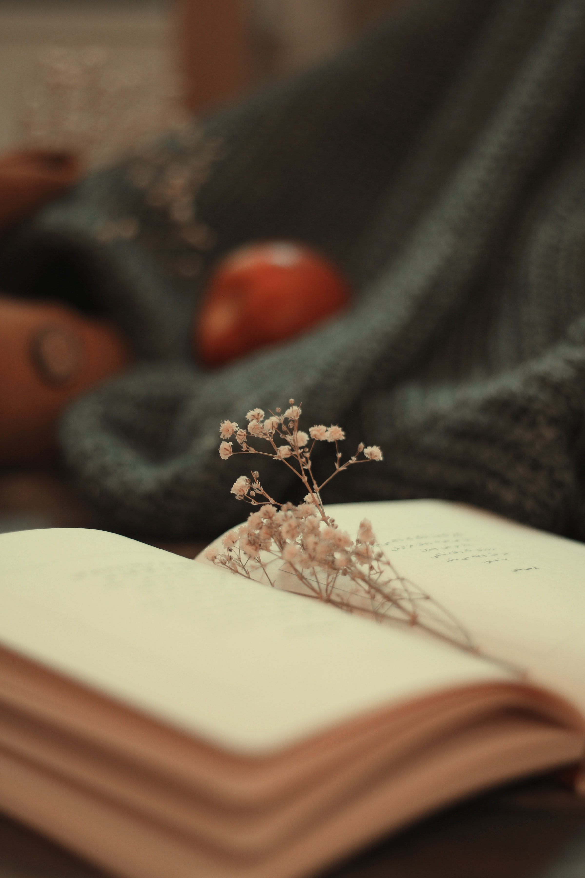 flowers, miscellanea, miscellaneous, book, pages, page, dried flowers, dryflower Full HD