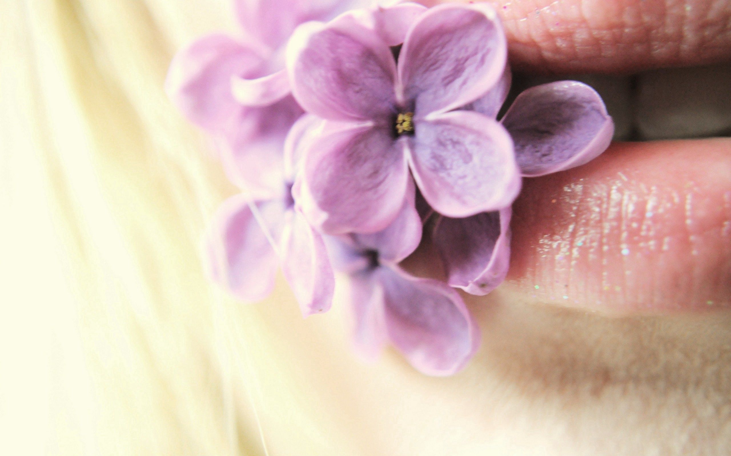 Handy-Wallpaper Blumen, Lilac, Makro, Lippen kostenlos herunterladen.