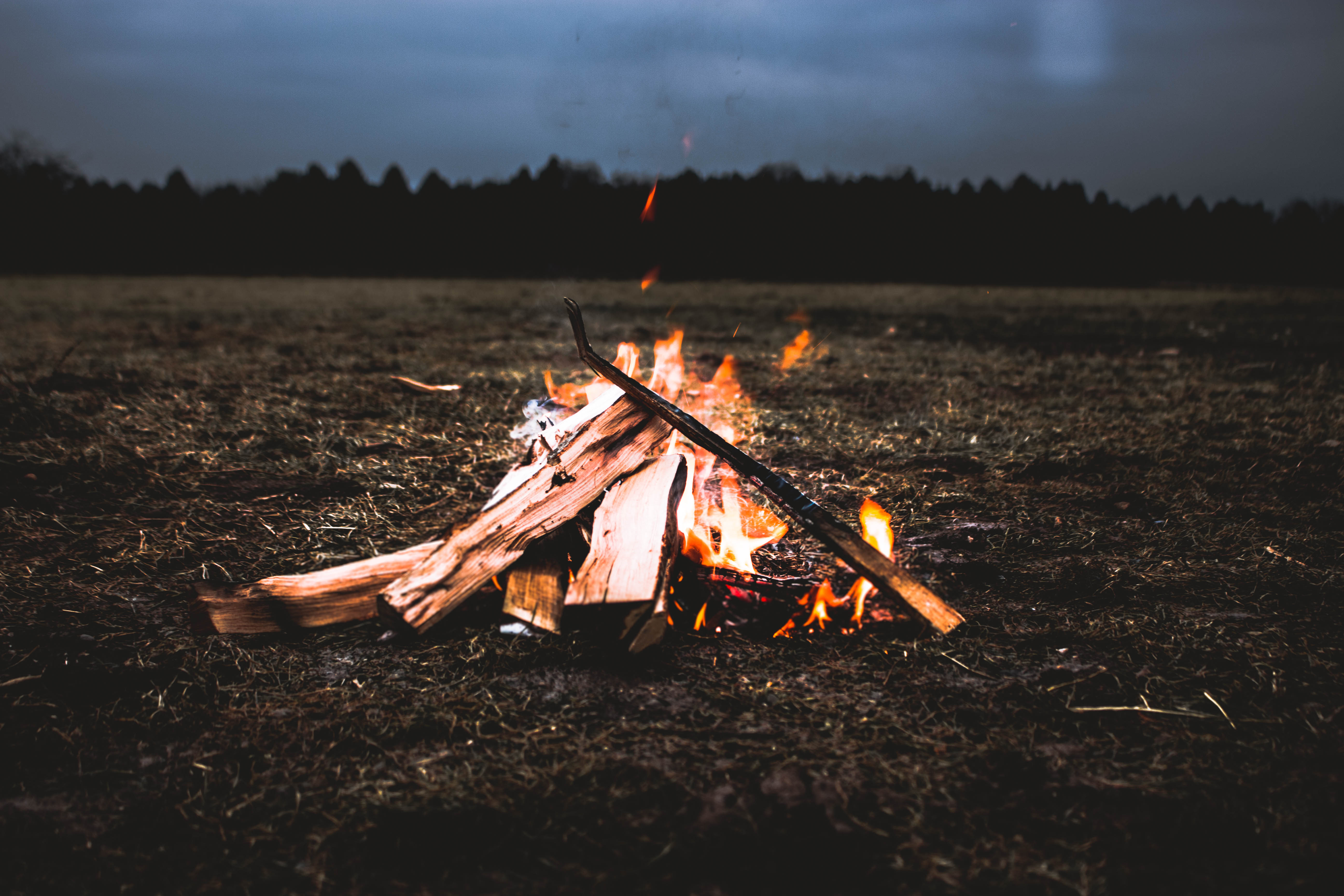 Laden Sie das Feuer, Bonfire, Verschiedenes, Sonstige, Brennholz-Bild kostenlos auf Ihren PC-Desktop herunter