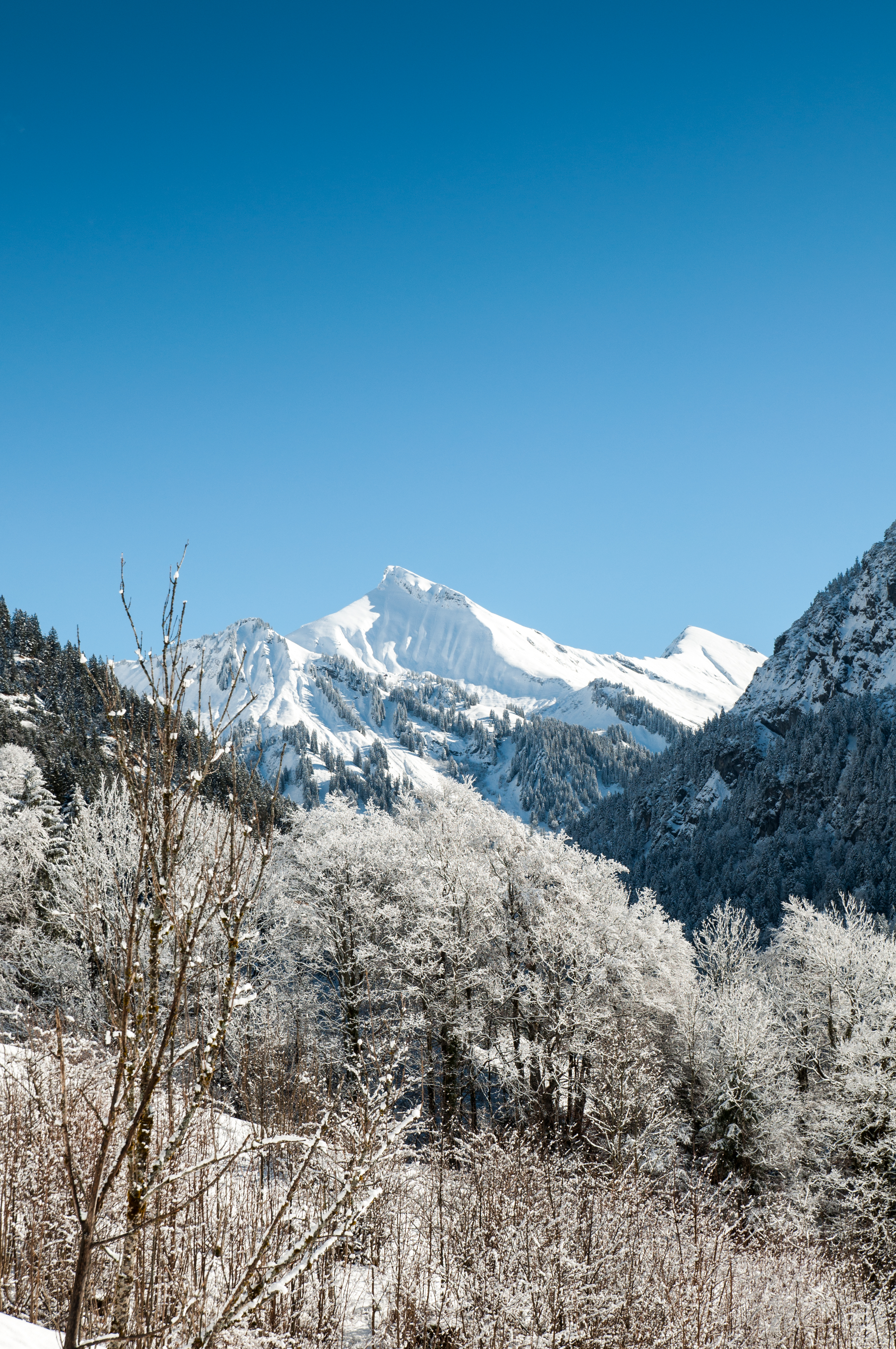 お使いの携帯電話の135576スクリーンセーバーと壁紙風景。 山脈, 積雪, 自然, 木の写真を無料でダウンロード