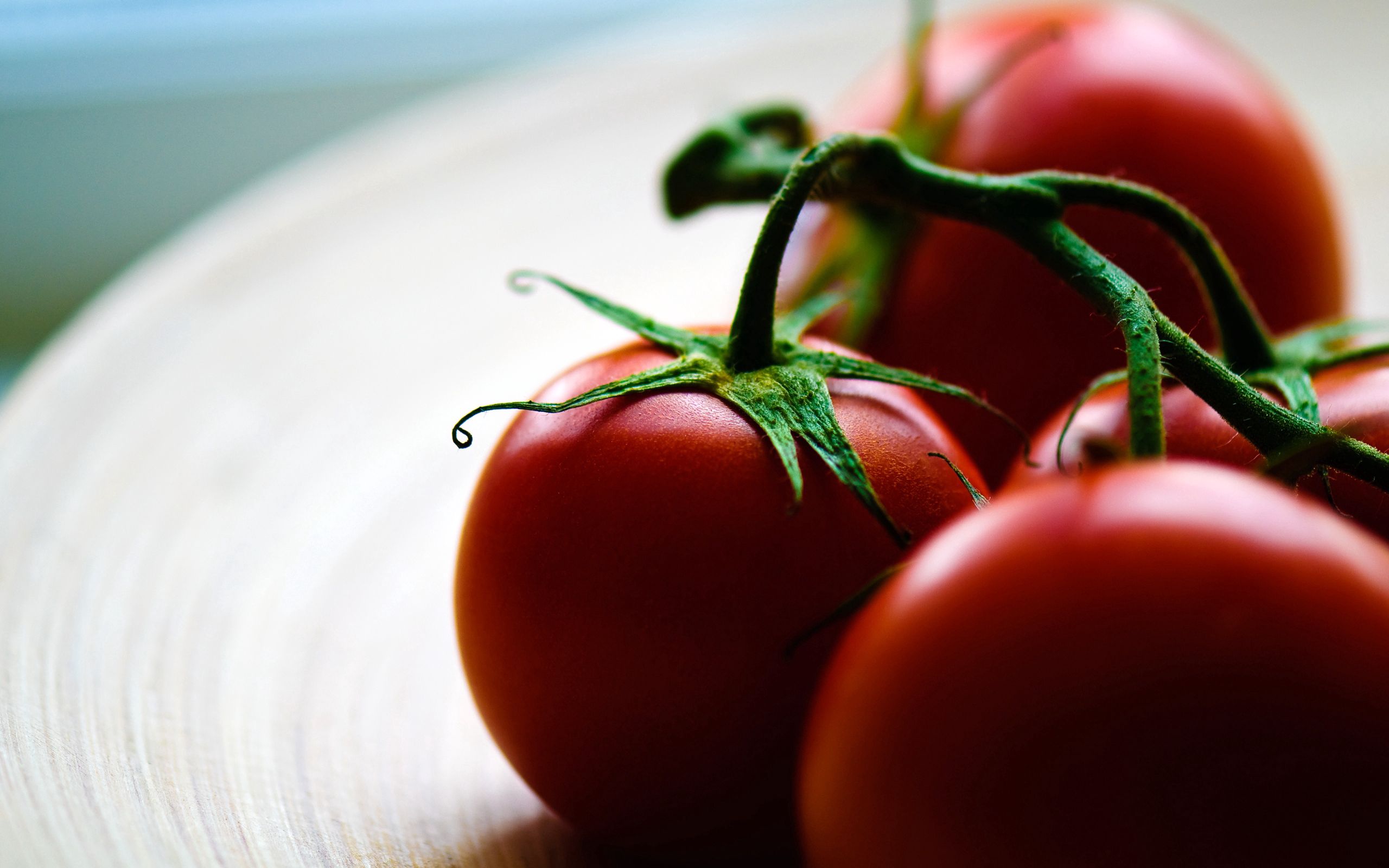 82106 Hintergrundbild herunterladen lebensmittel, rot, teller, reif, tomaten - Bildschirmschoner und Bilder kostenlos