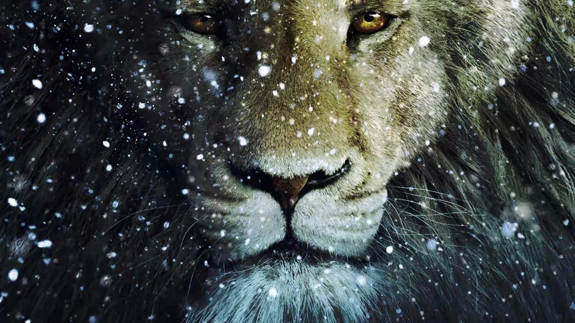 movie, lion, the chronicles of narnia: the voyage of the dawn treader, narnia Dawn HD Android Wallpapers