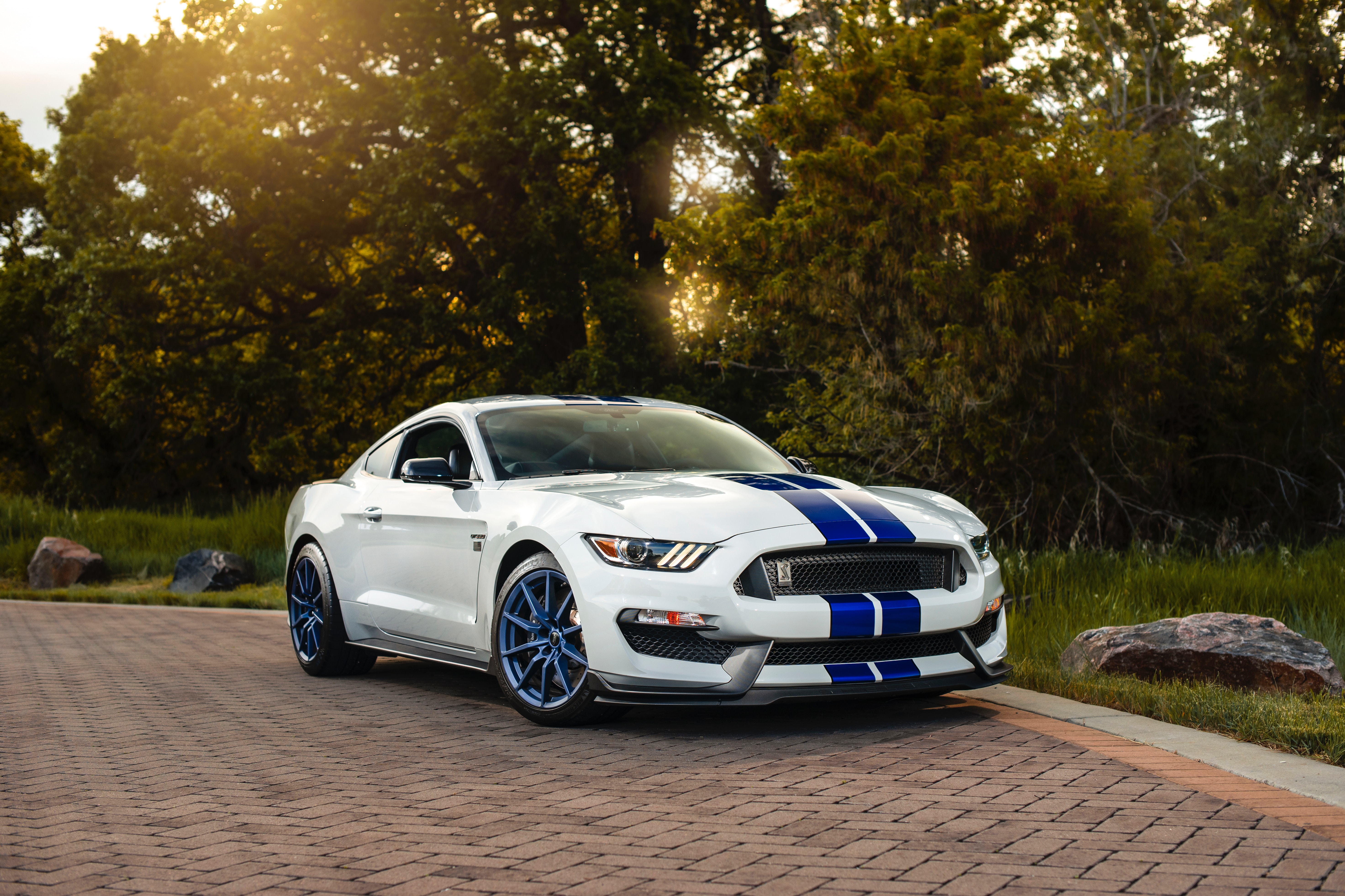 car, sports, ford, cars, white, machine, sports car, side view, ford mustang gt350 5K