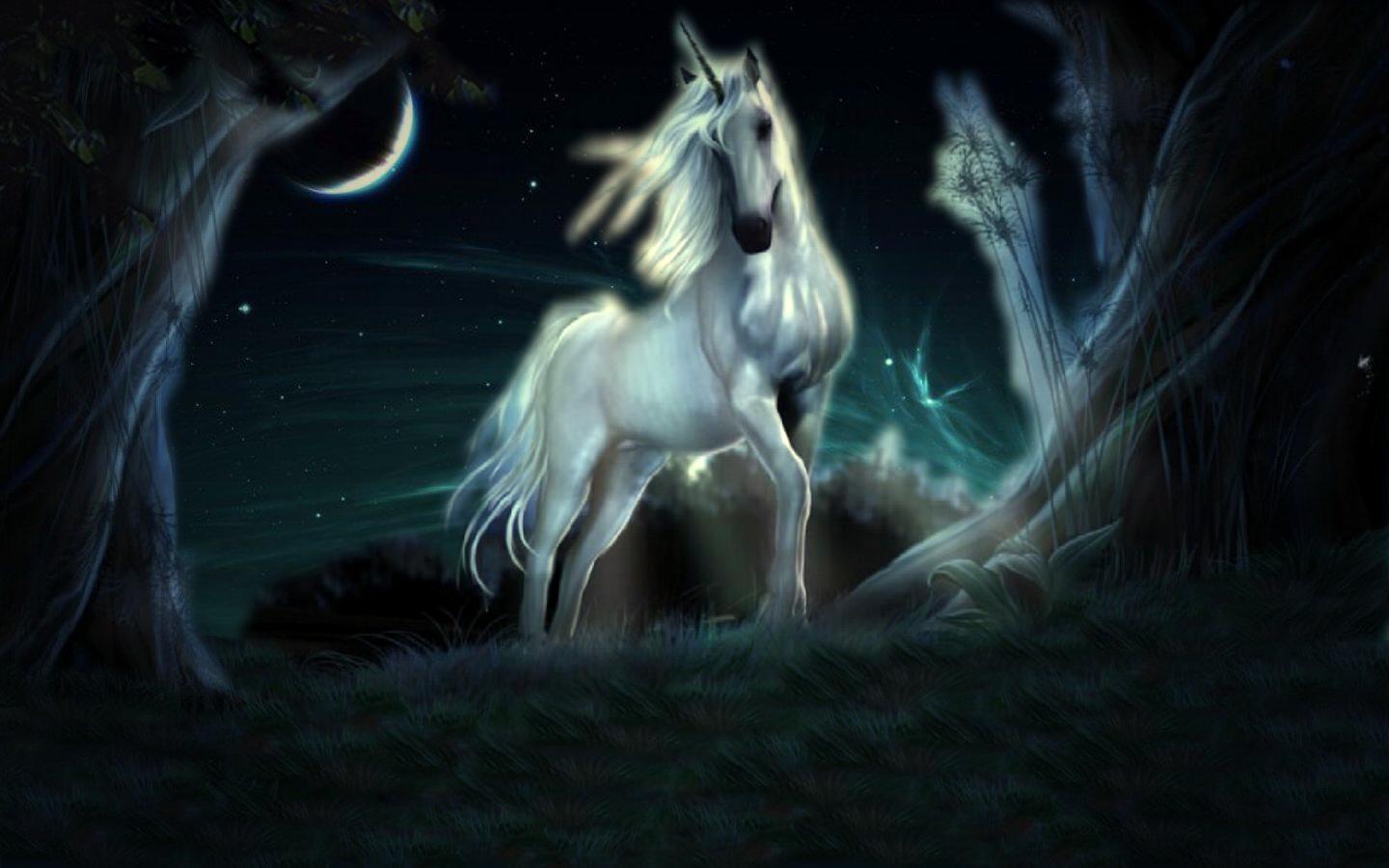 unicorn, fantasy, fantasy animals iphone wallpaper
