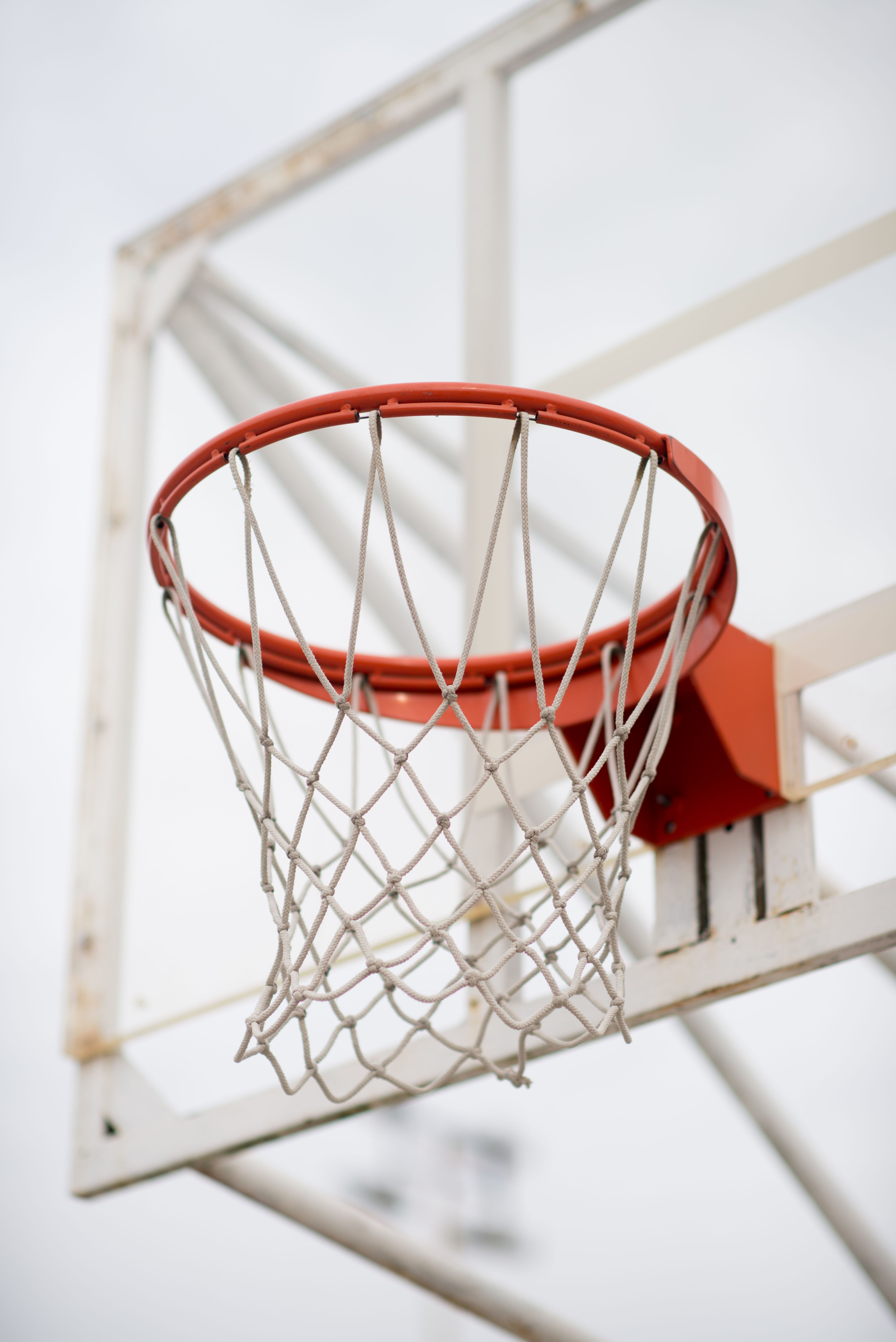 sports, basketball, ring, basketball ring, basketball hoop