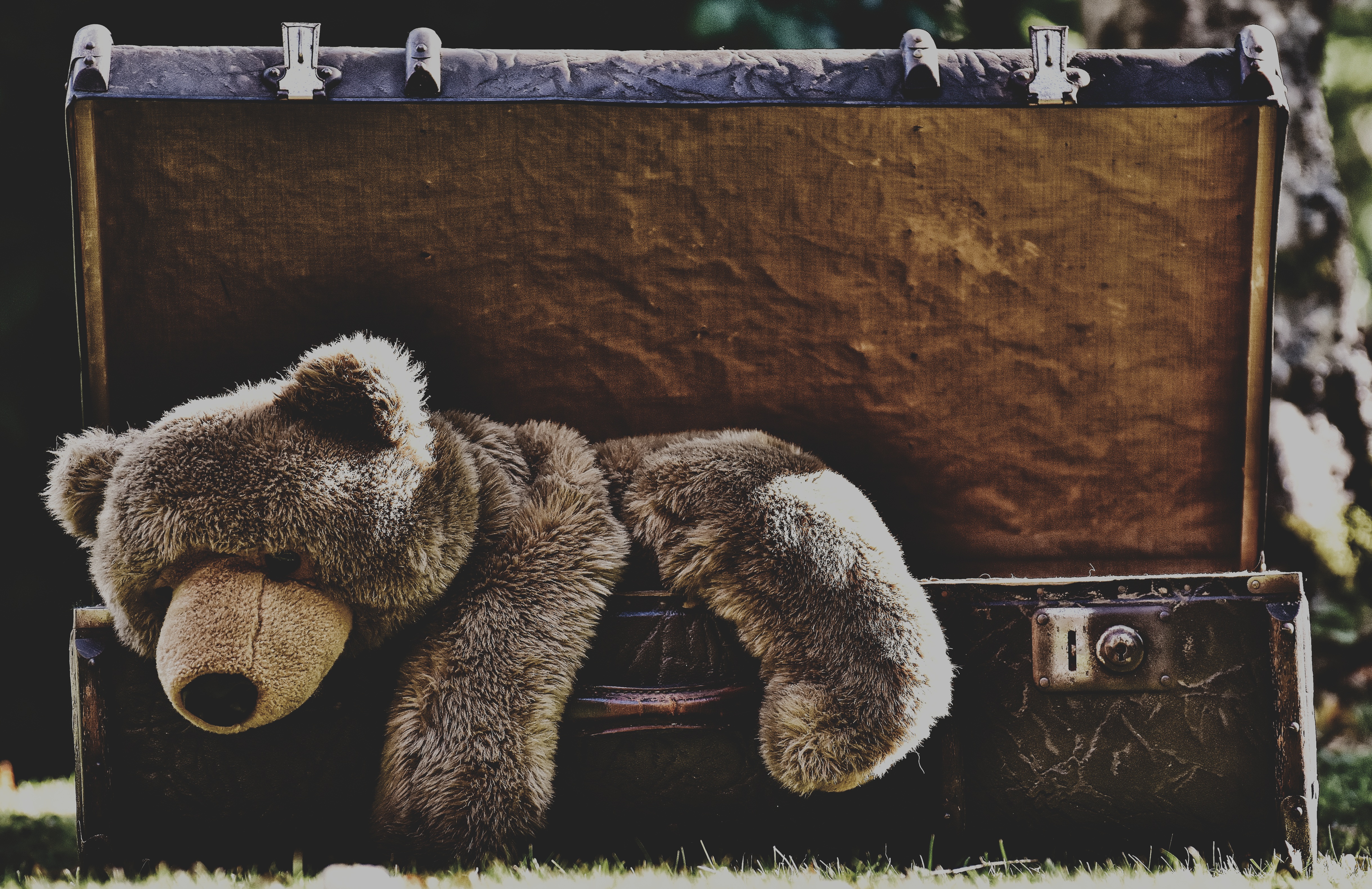 Laden Sie das Spielzeug, Teddybär, Verschiedenes, Sonstige, Bär, Traurigkeit, Koffer, Trauer-Bild kostenlos auf Ihren PC-Desktop herunter