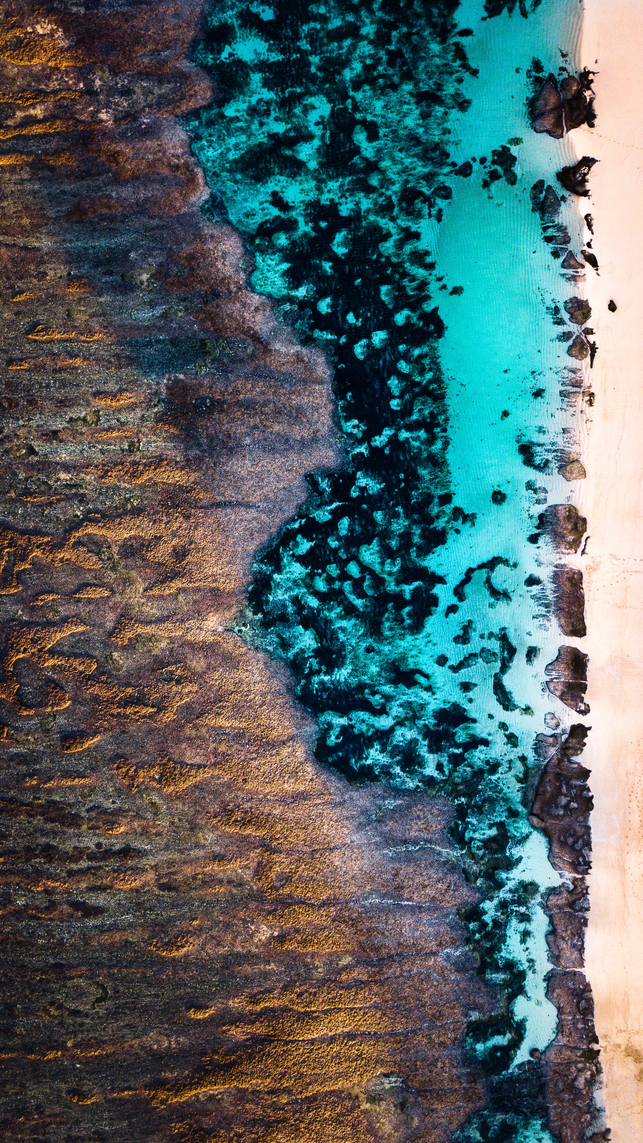 Phone Background Full HD shore, nature, texture, view from above