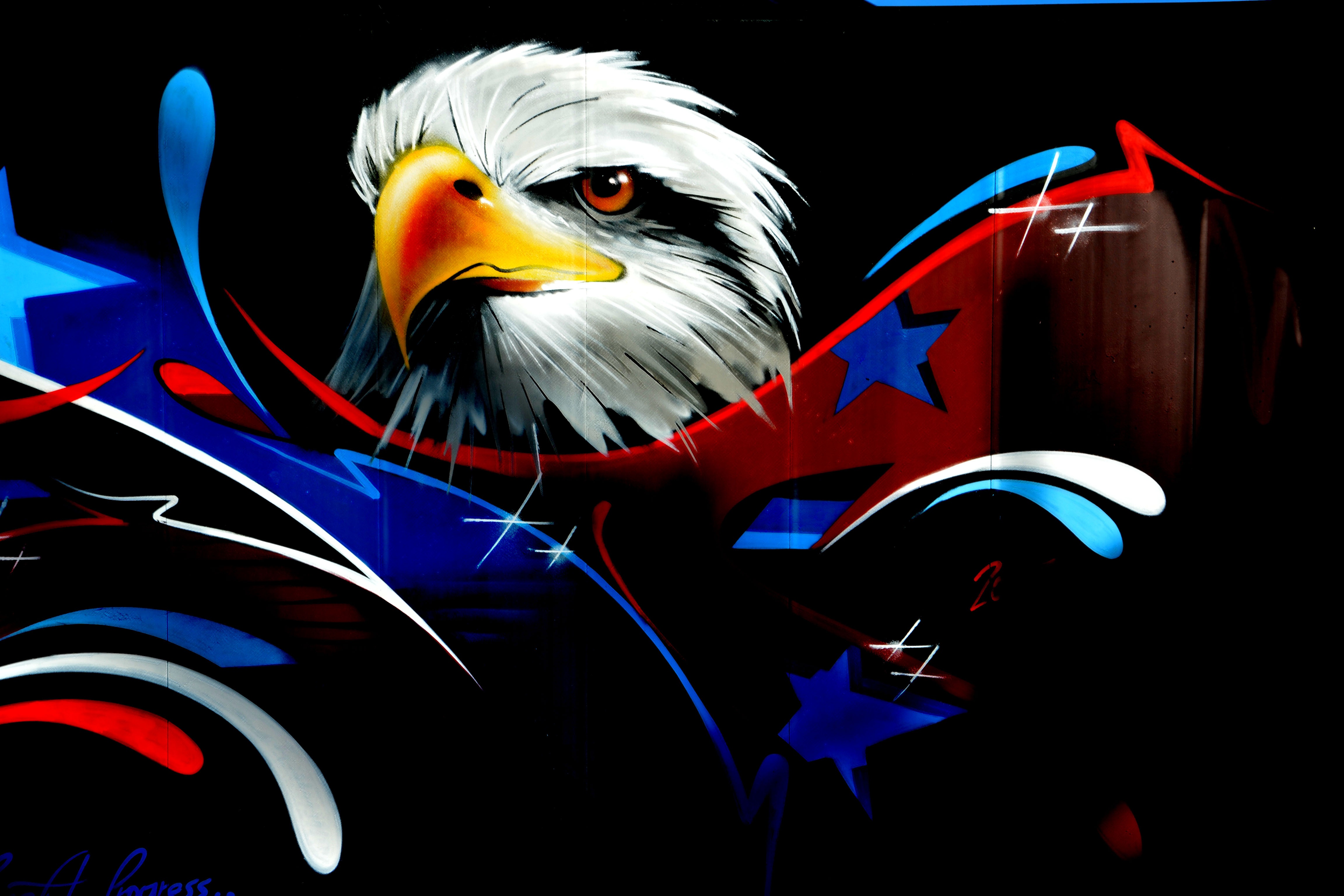 83755 download wallpaper art, wall, eagle, graffiti screensavers and pictures for free