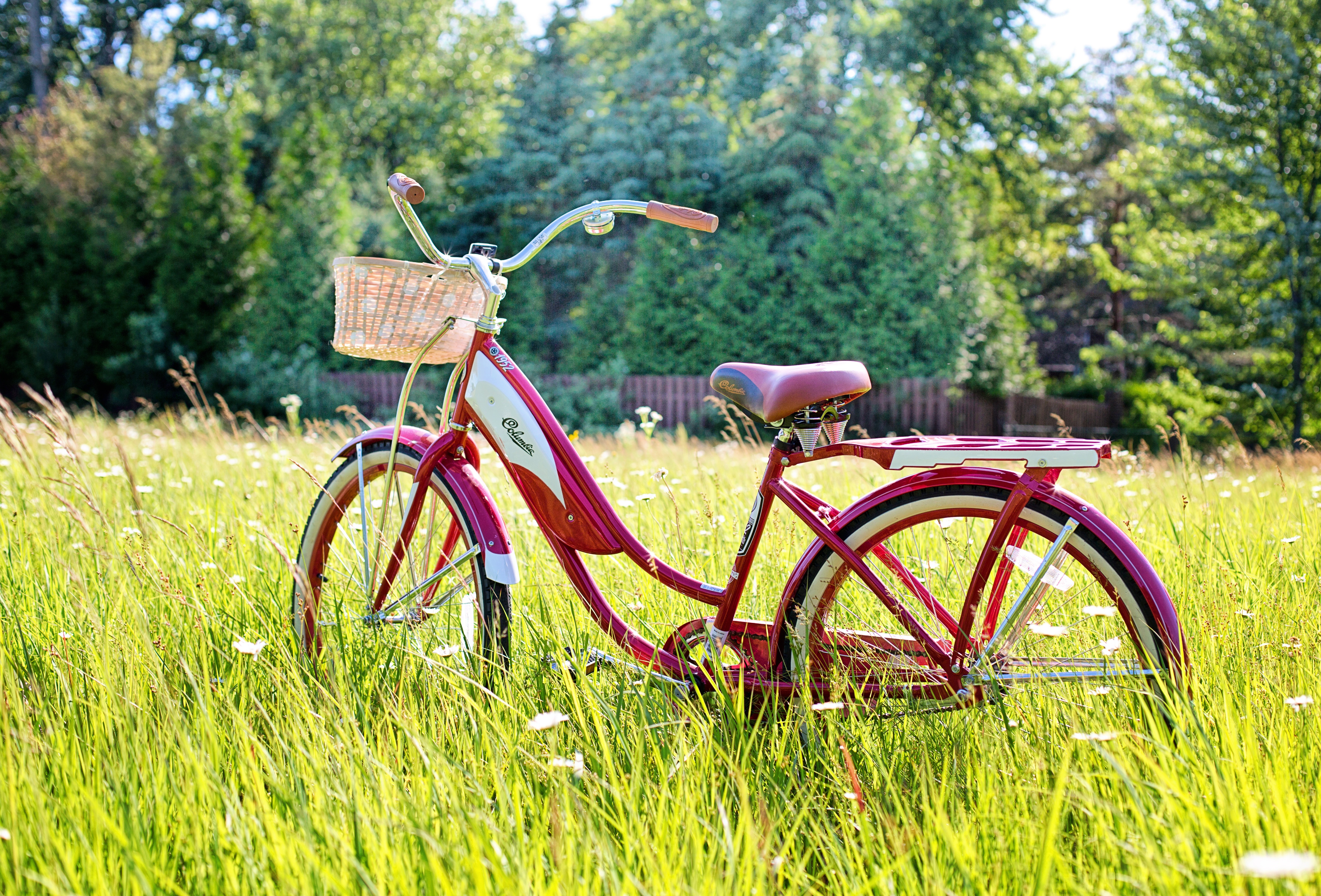 summer, miscellanea, miscellaneous, vintage, sunlight, bicycle Smartphone Background