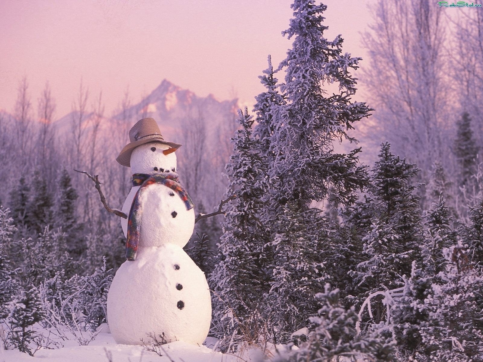 10688 Hintergrundbild herunterladen schneemann, landschaft, winter, neujahr, schnee, tannenbaum, weihnachten - Bildschirmschoner und Bilder kostenlos