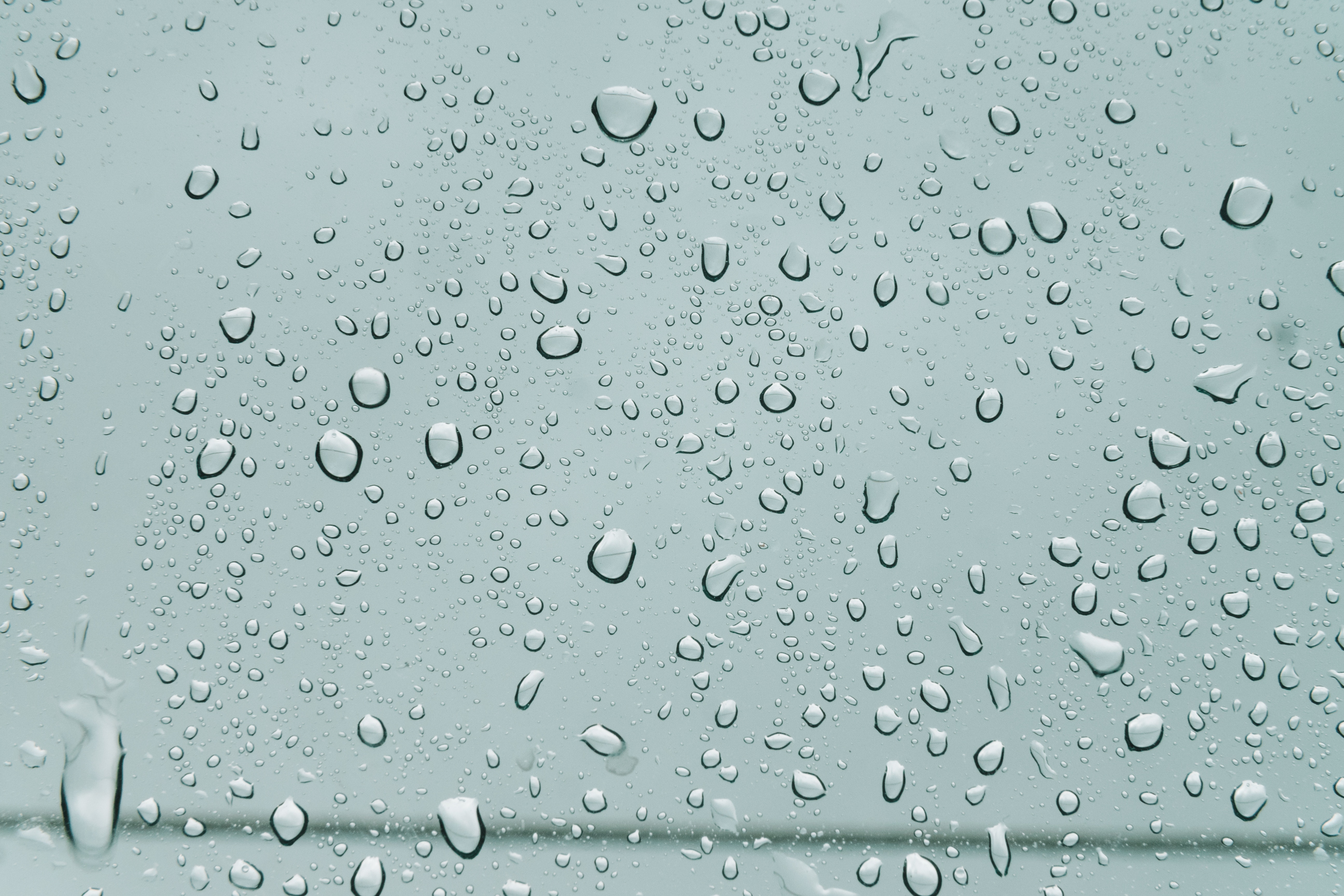surface, form, rain, drops, macro, wet, moisture, forms, humid