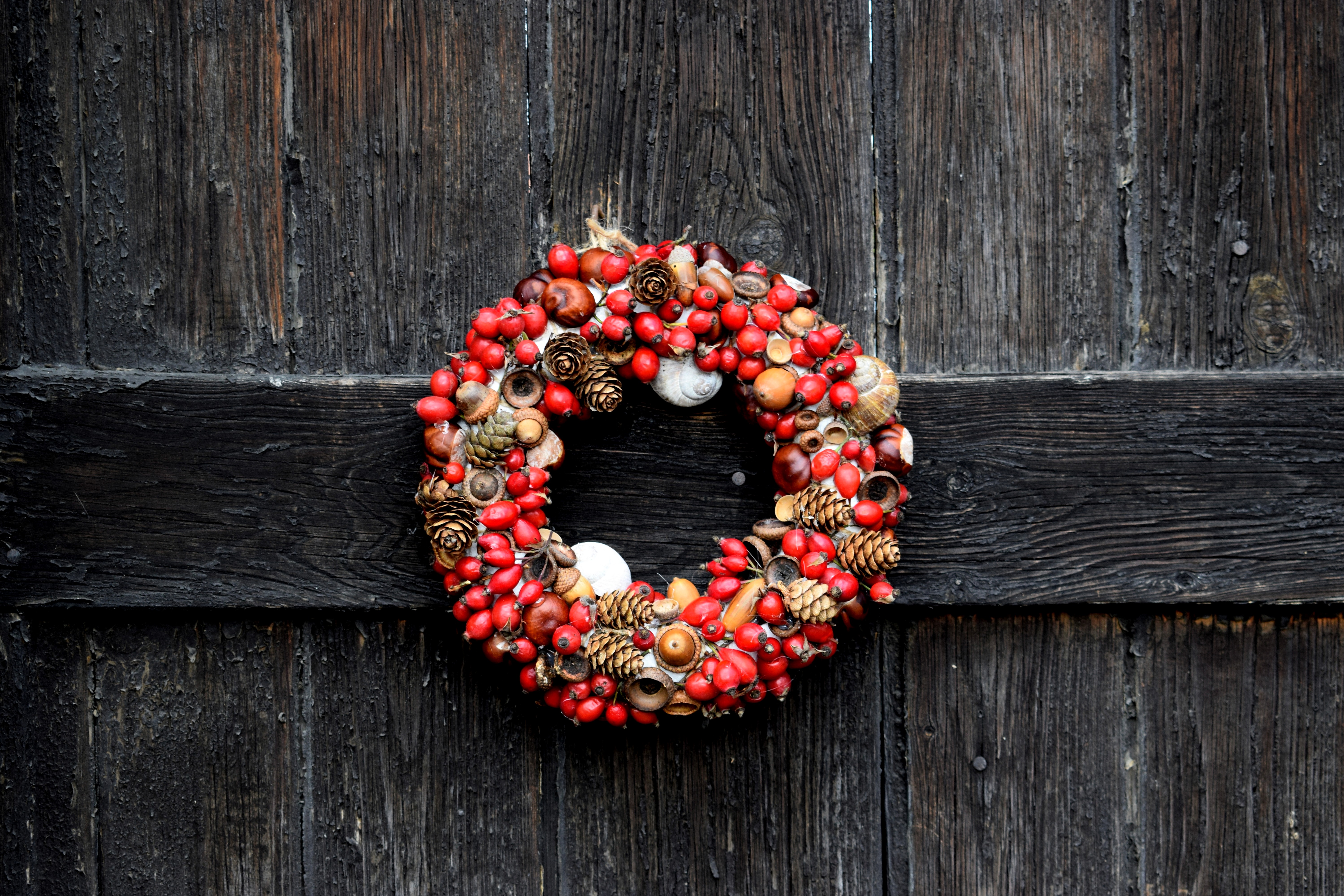 Mobile Wallpaper: Free HD Download [HQ] wreath, acorns, briar, christmas