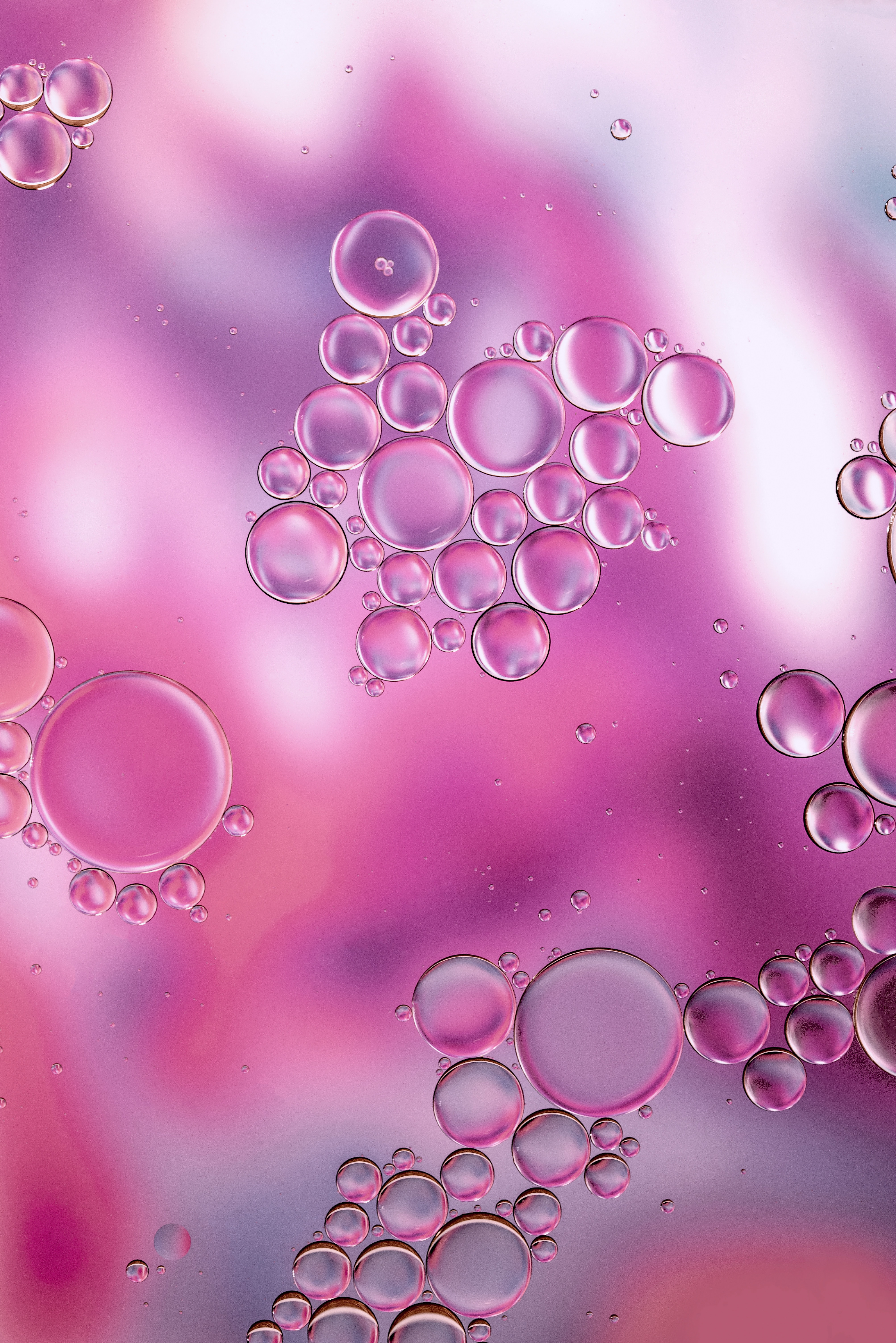 Laden Sie das Bubbles, Transparent, Makro, Flüssigkeit-Bild kostenlos auf Ihren PC-Desktop herunter