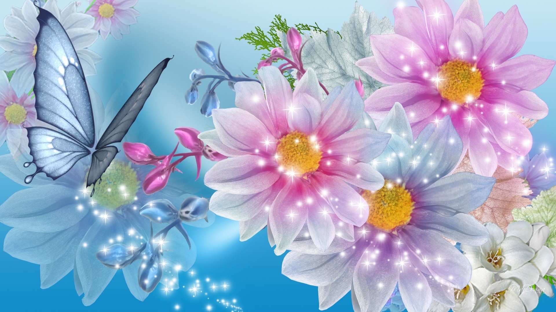 flowers, artistic, flower Screen Wallpaper