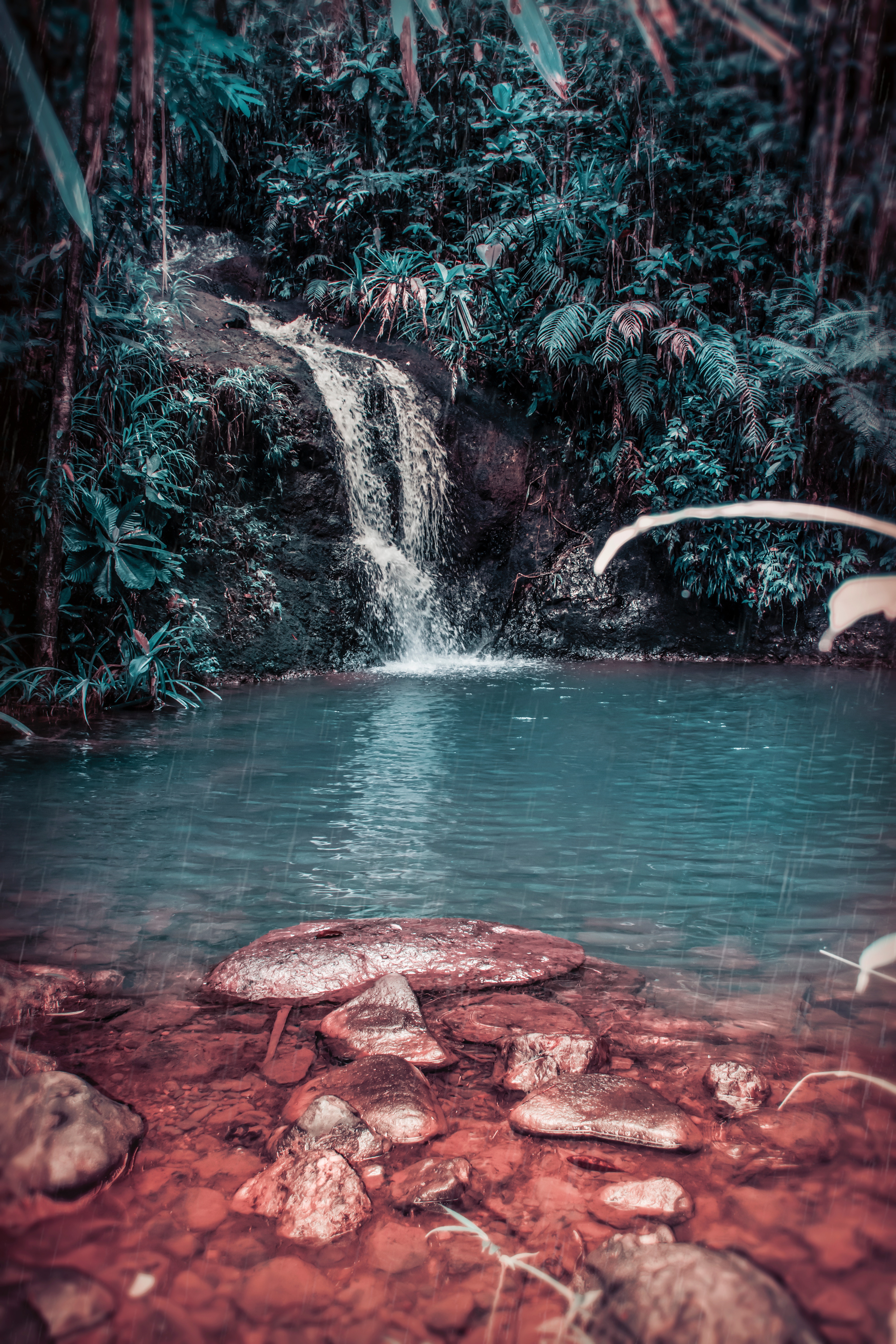 waterfall, tropical, jungle, forest, stones, nature, spray, creek, brook cellphone