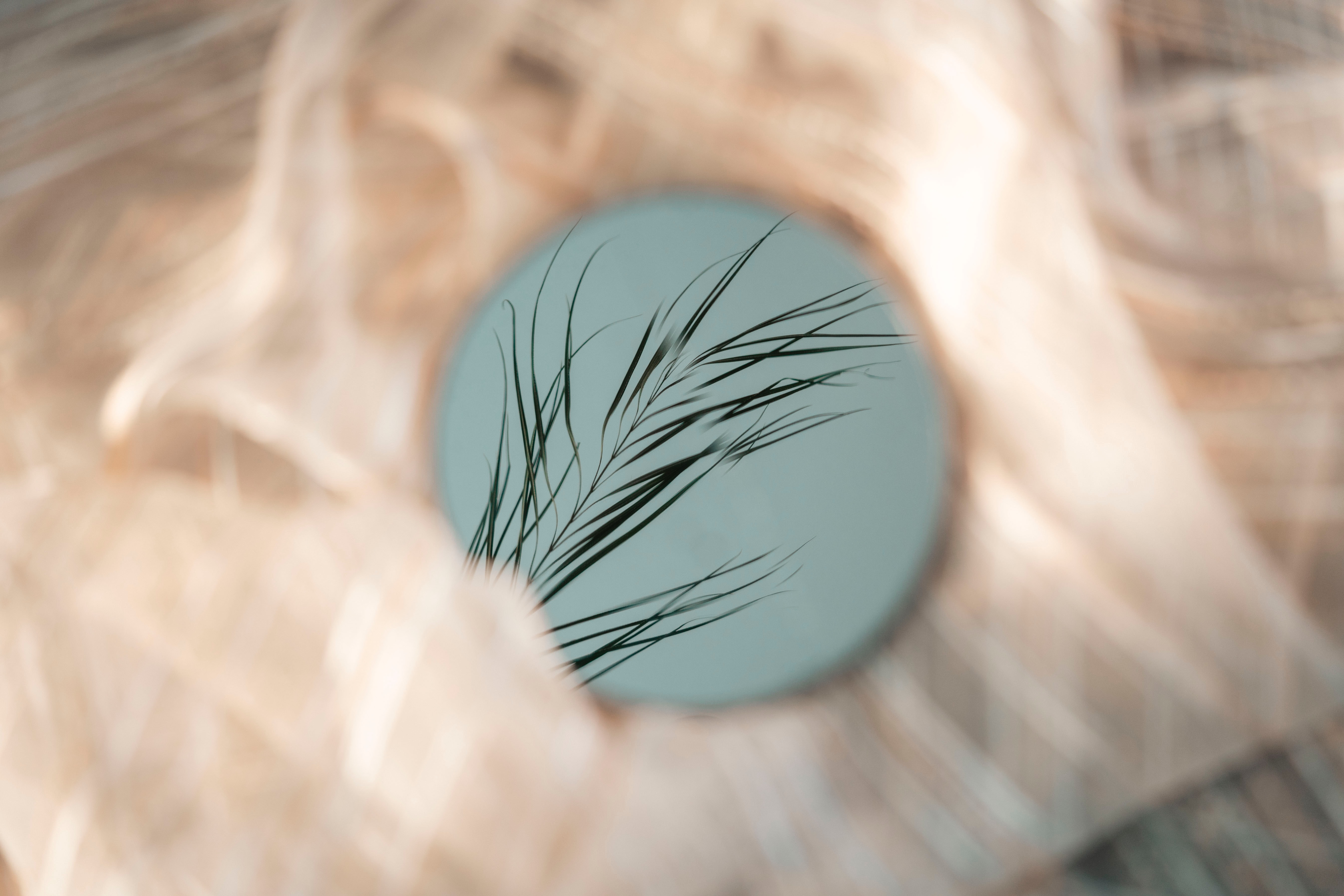 focus, miscellaneous, grass, leaves, reflection, miscellanea, circle, mirror Smartphone Background