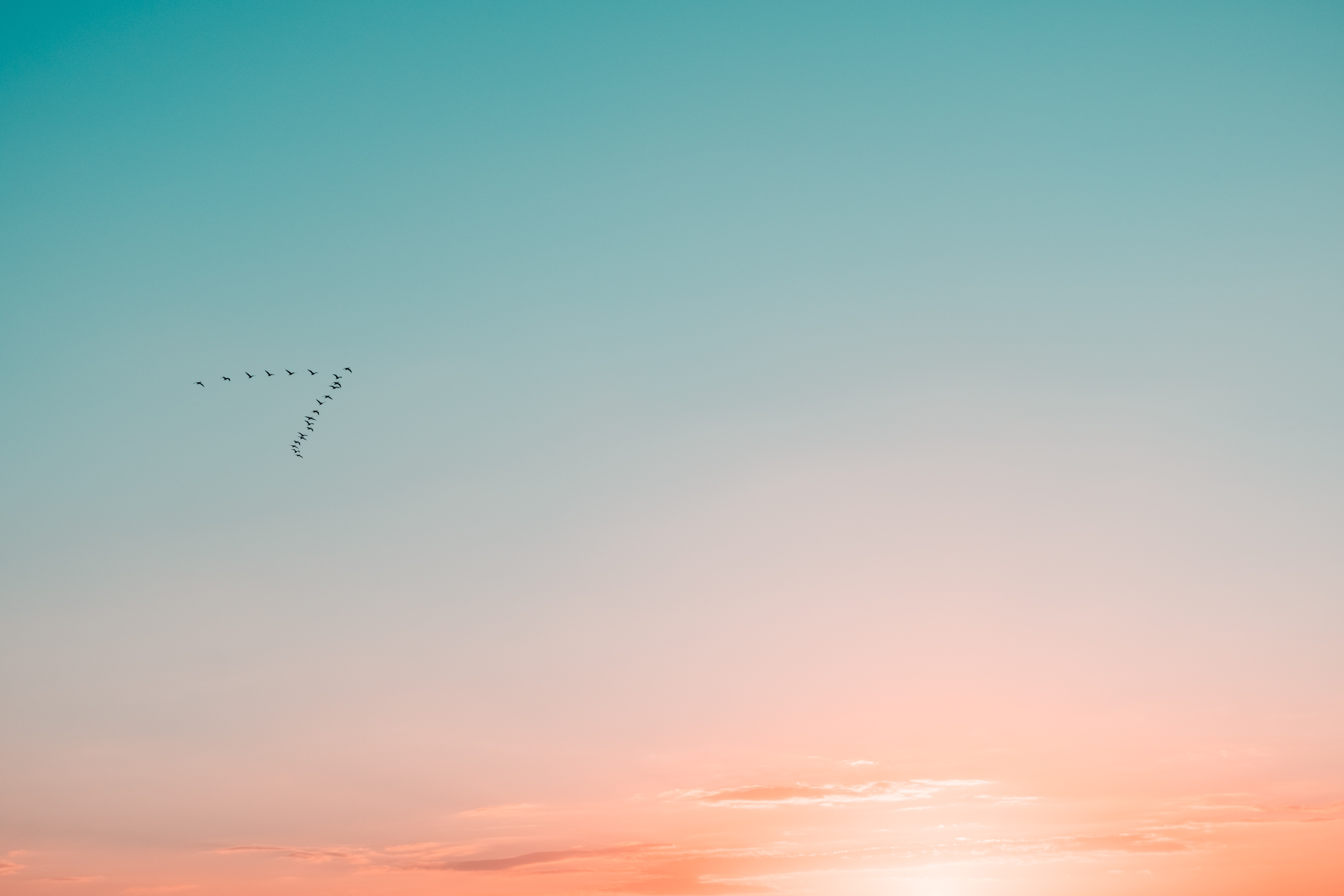 minimalism, birds, sky, silhouettes, flight, gradient 2160p