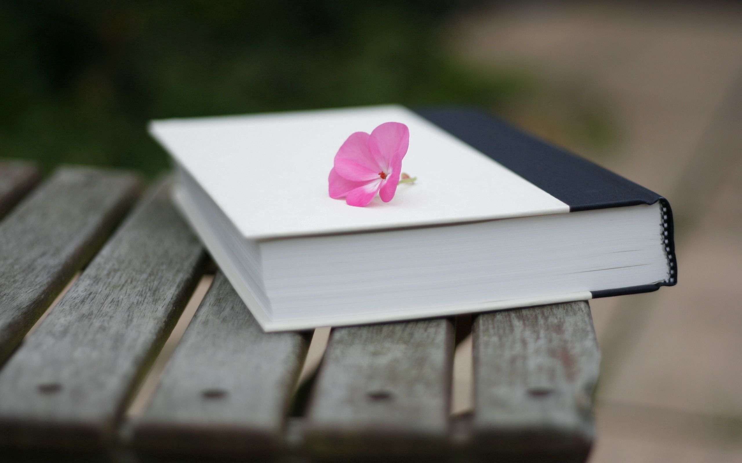 iPhone background handsomely, it's beautiful, flower, book