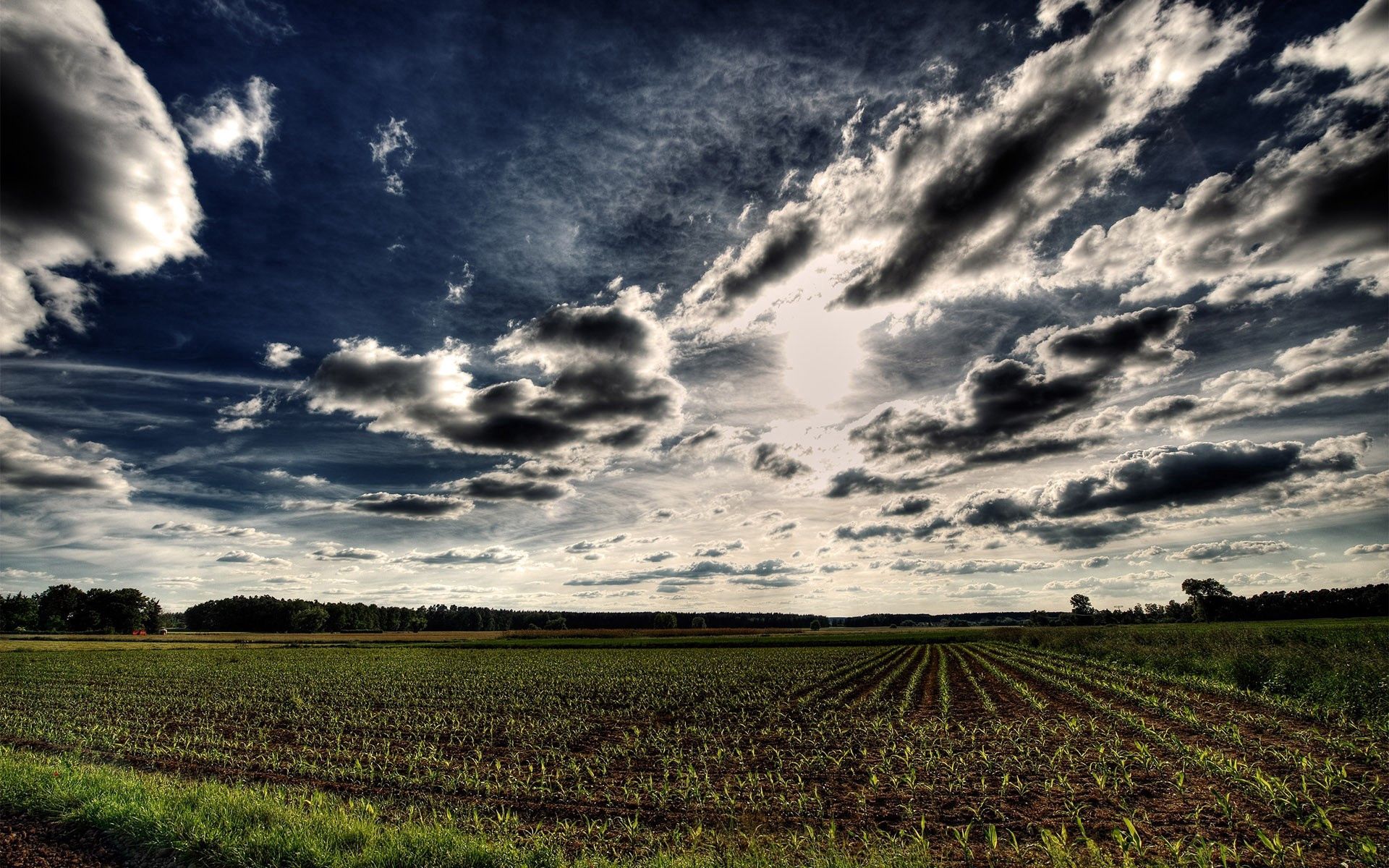 nature, ranks, rows, field, arable land, sky, clouds, hdr