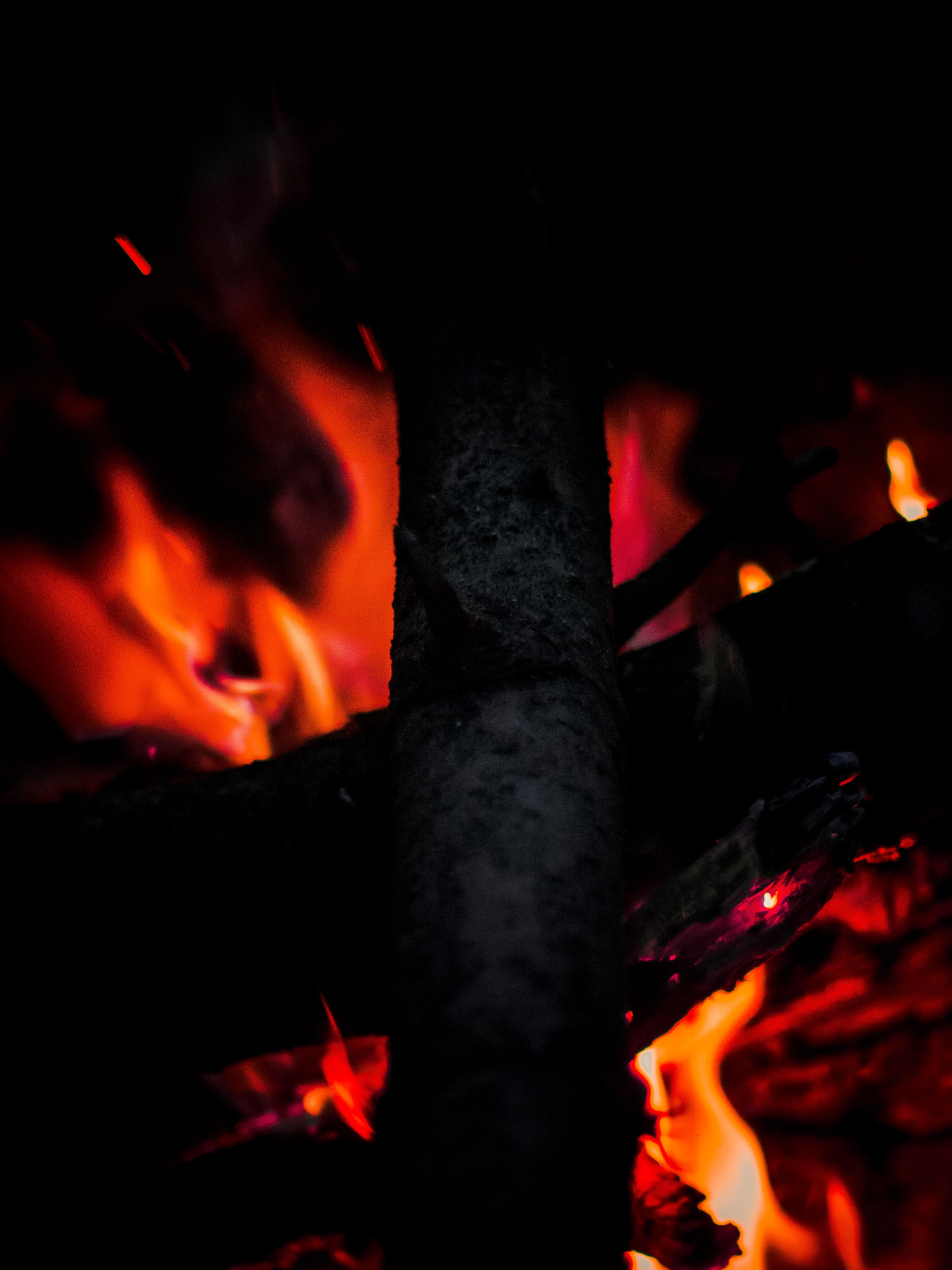 89661 Bild herunterladen feuer, bonfire, dunkel, brennholz, hitze, fieber - Hintergrundbilder und Bildschirmschoner kostenlos