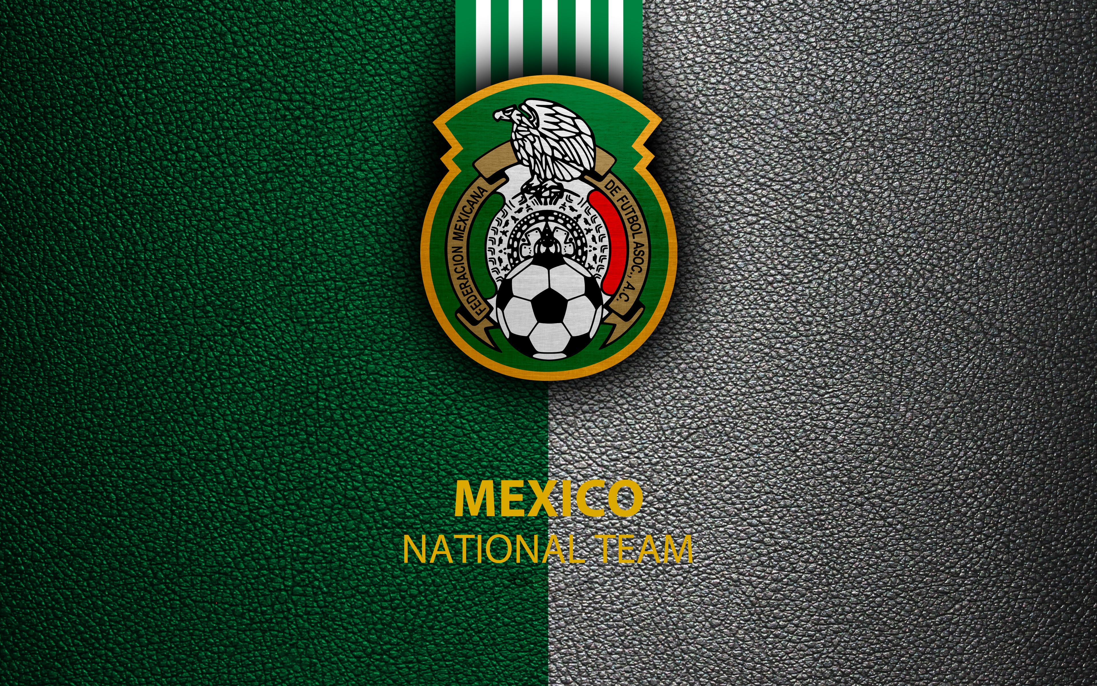 Mexican Football Federation  Mexico National Football Team Logo