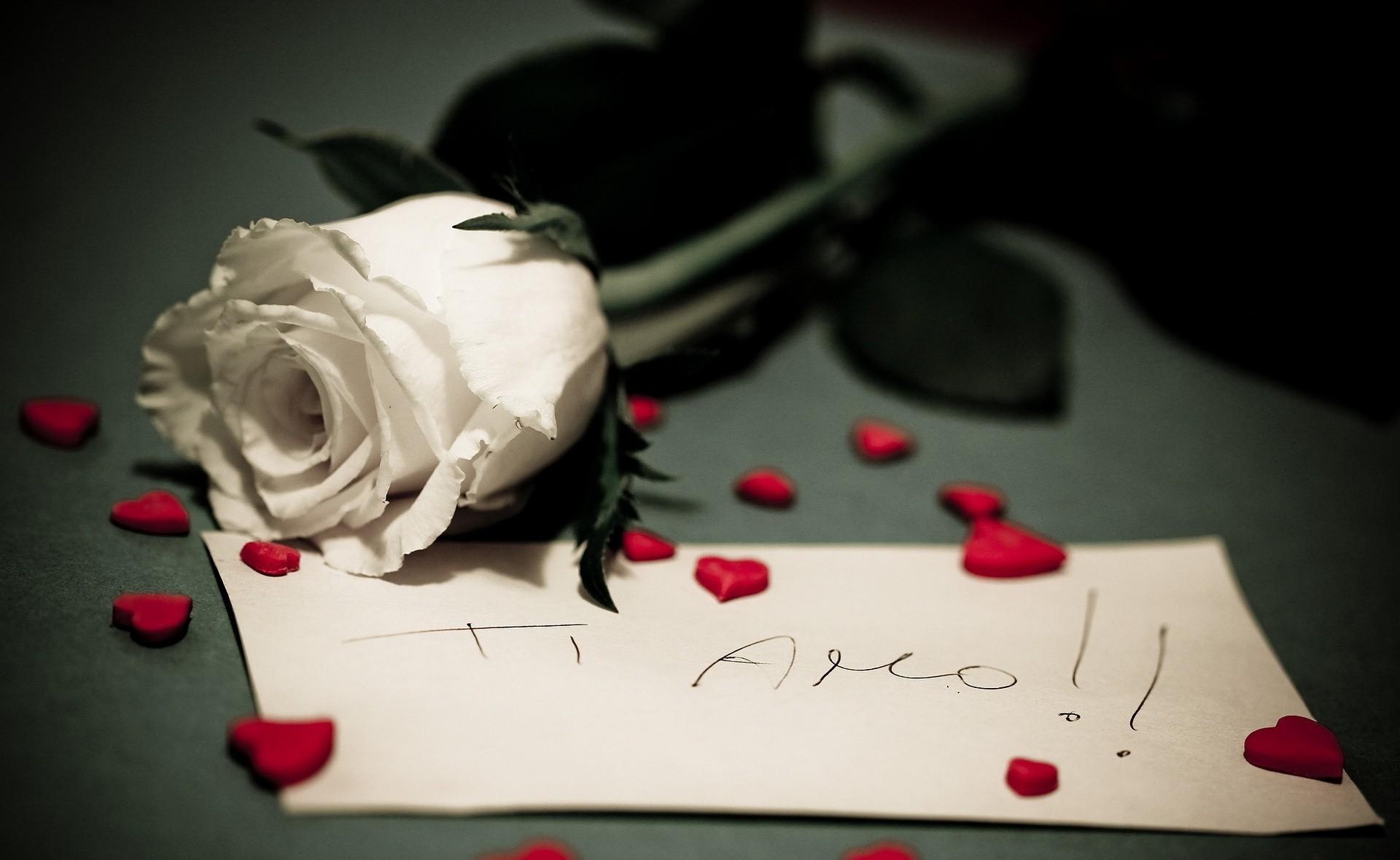 flowers, hearts, rose flower, rose, romance, note