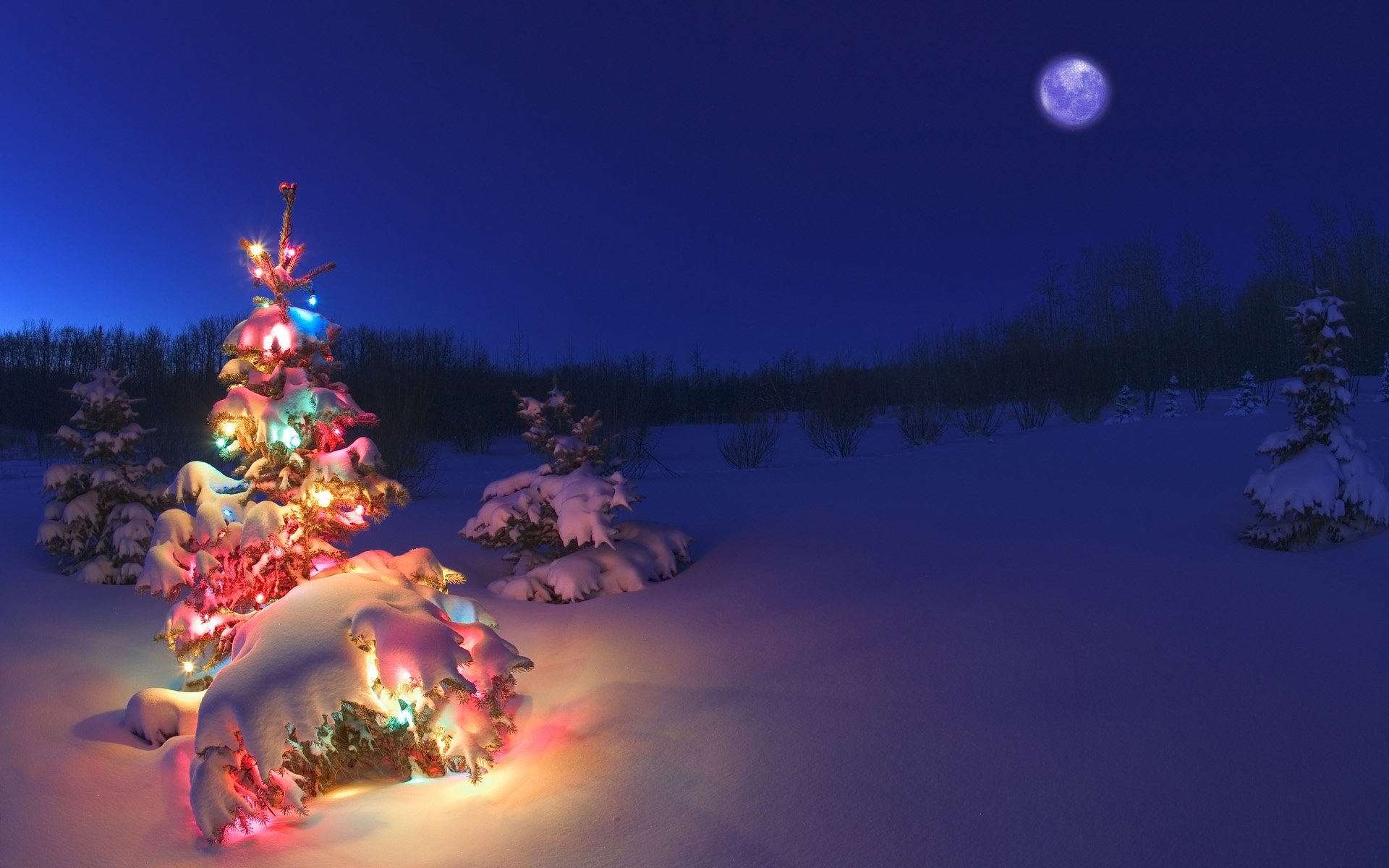 1465216 免費下載壁紙 节日, 圣诞节, 圣诞灯饰, 圣诞树, 雪, 冬天 屏保和圖片