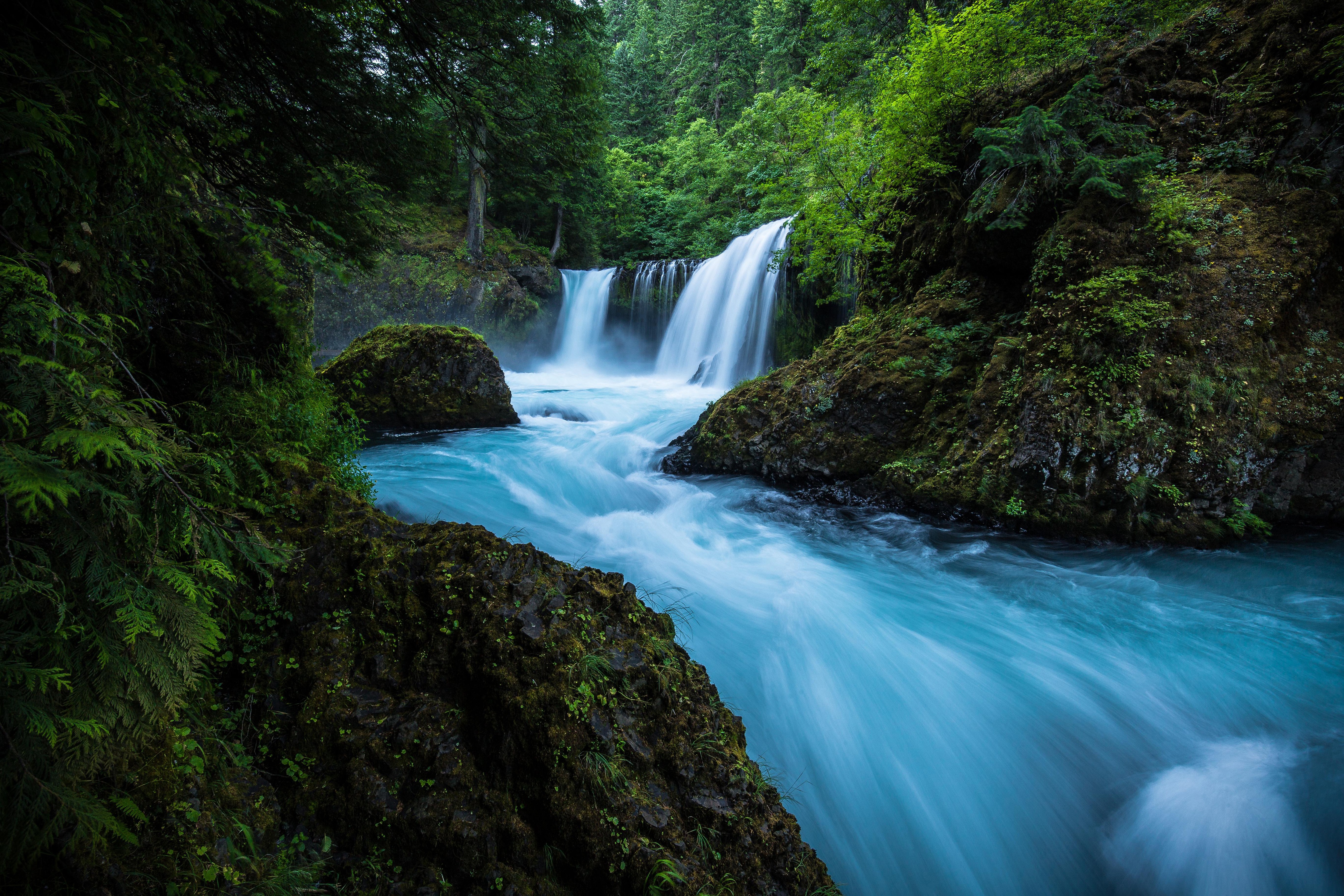 foam, earth, waterfall, greenery, nature, river, waterfalls High Definition image