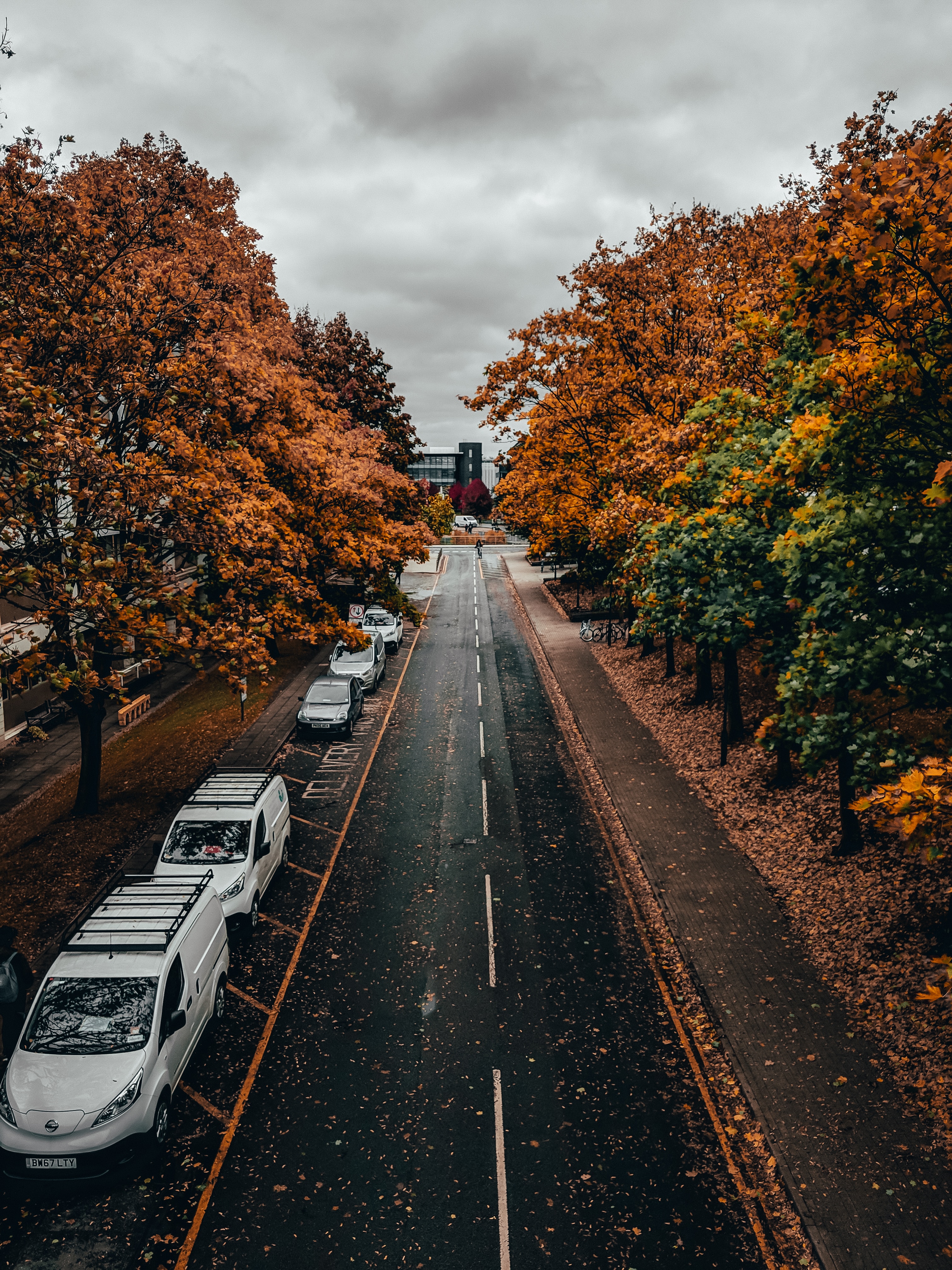 street, autumn, cities, trees, road, alley