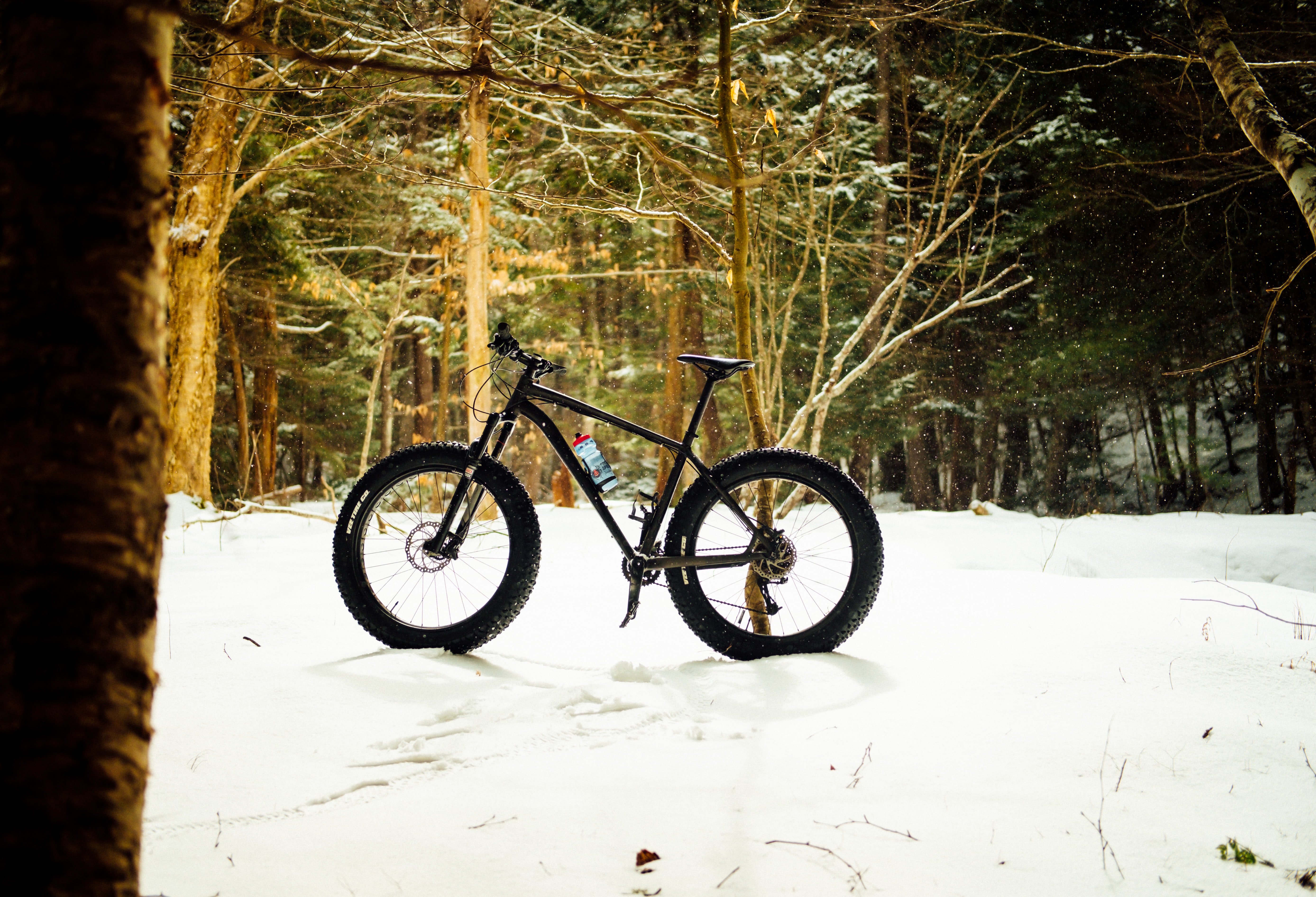 sports, snow, forest, bicycle iphone wallpaper