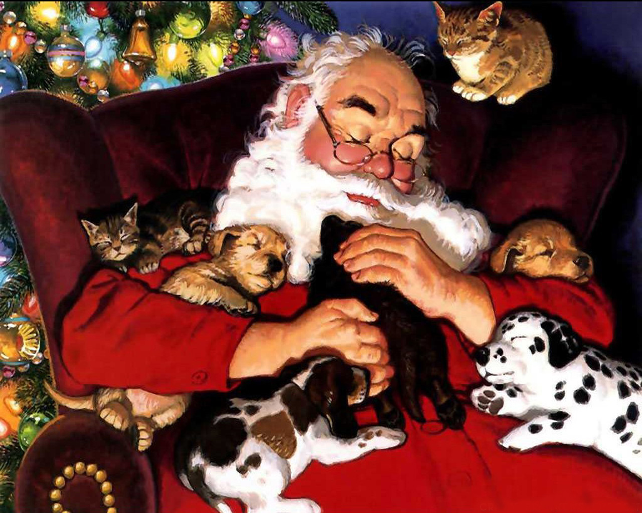1443203壁紙のダウンロードホリデー, クリスマス, ネコ, 犬, 子猫, 子犬, サンタクロース, サンタ-スクリーンセーバーと写真を無料で