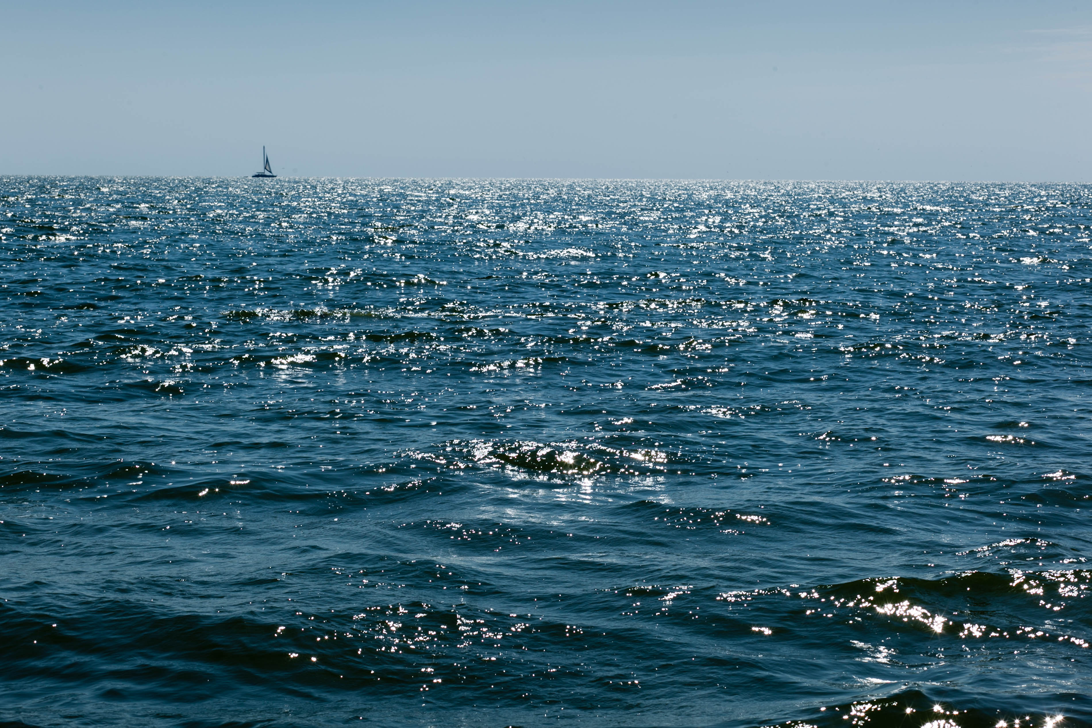 81724 Hintergrundbild herunterladen natur, sea, waves, horizont, segel, schiff - Bildschirmschoner und Bilder kostenlos