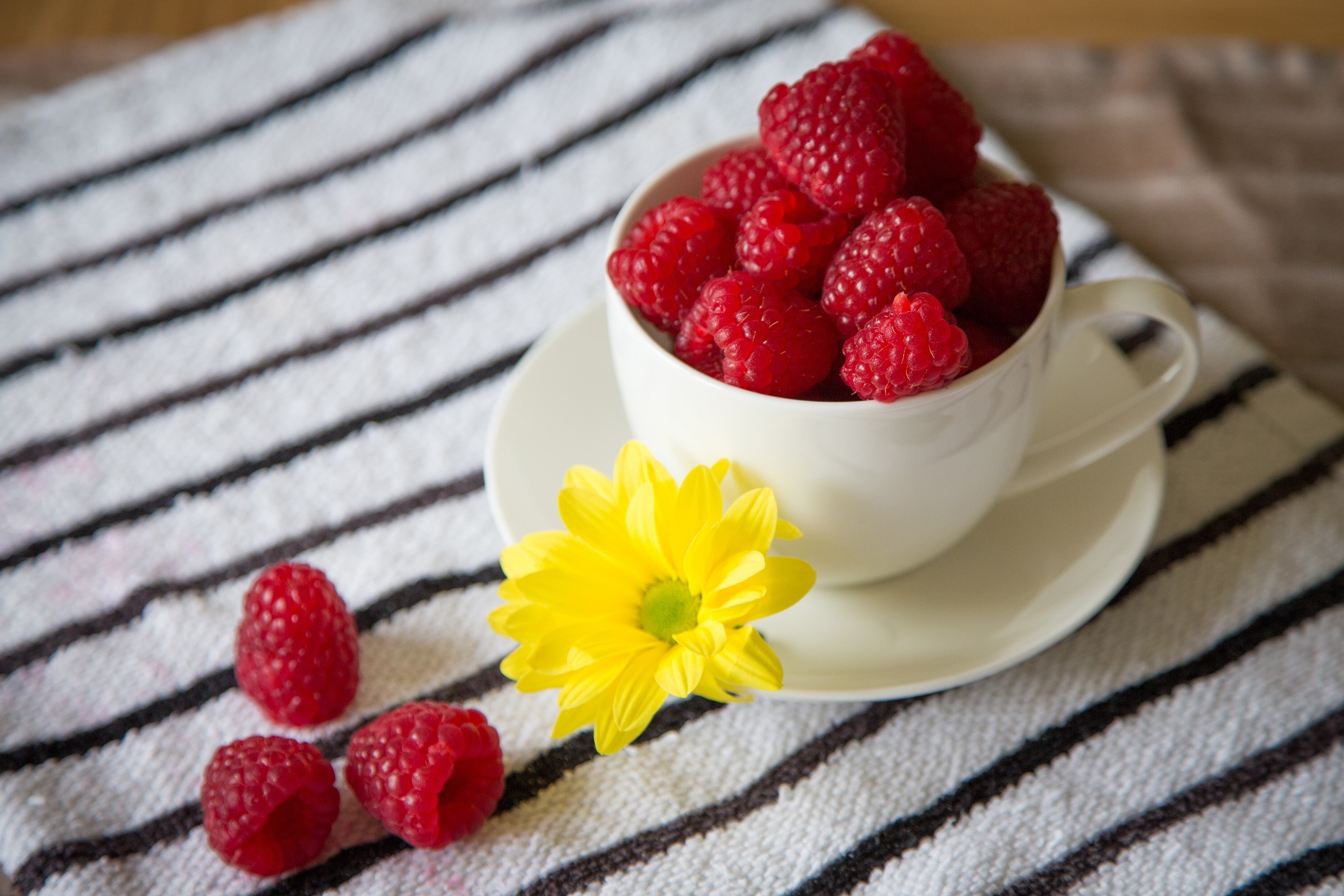 Laden Sie das Pflanzen, Lebensmittel, Himbeere, Berries-Bild kostenlos auf Ihren PC-Desktop herunter