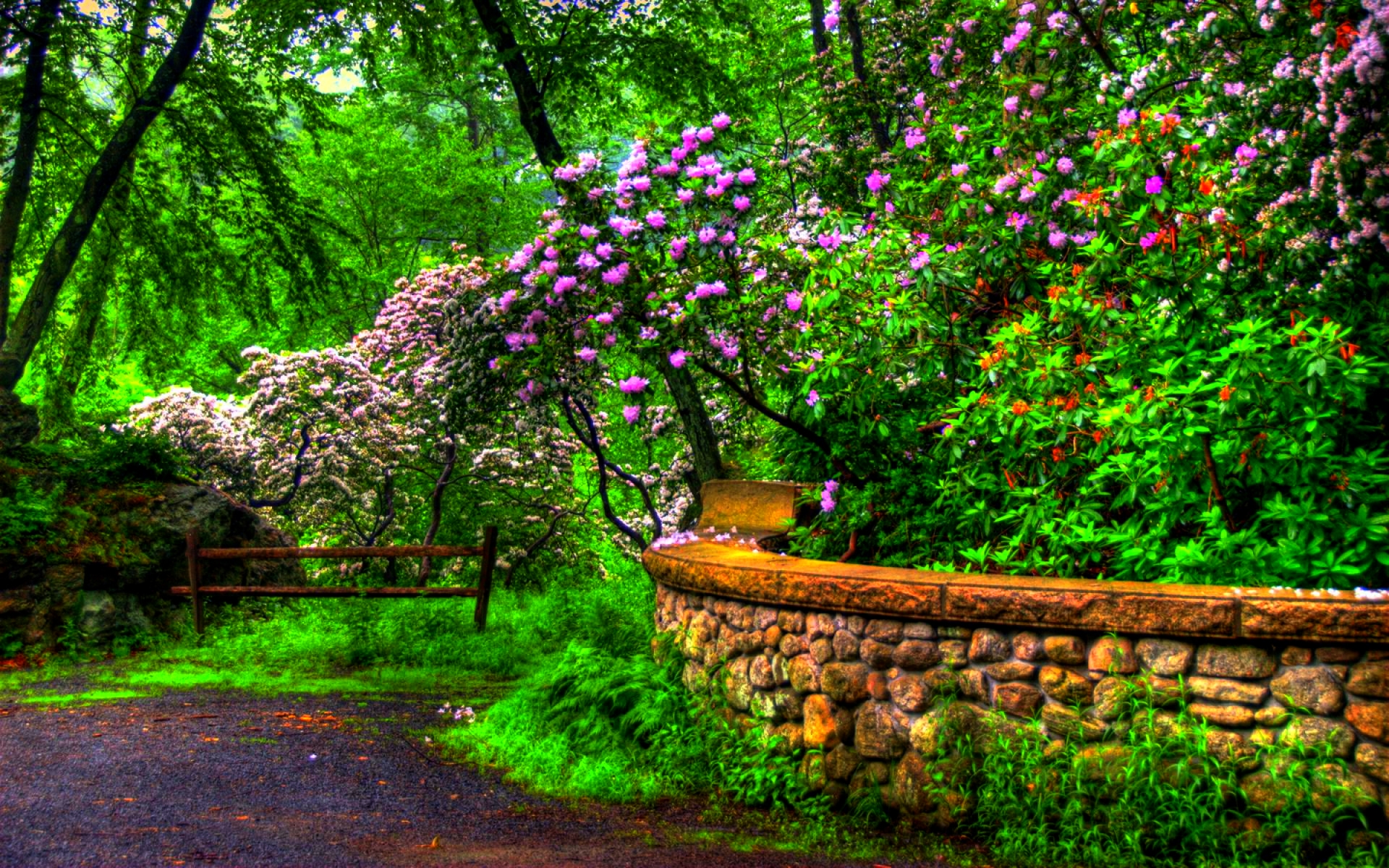 wall, earth, spring, flower, hdr, park, tree